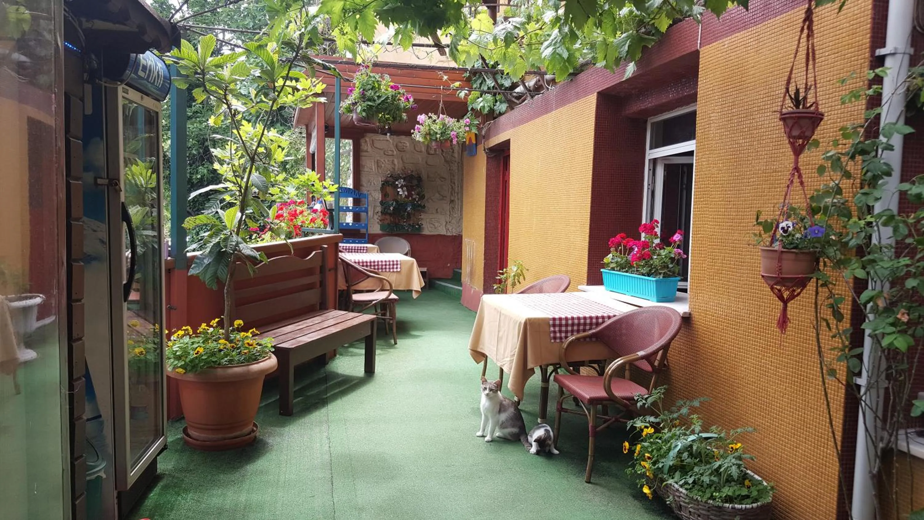 Garden in Anadolu Hotel