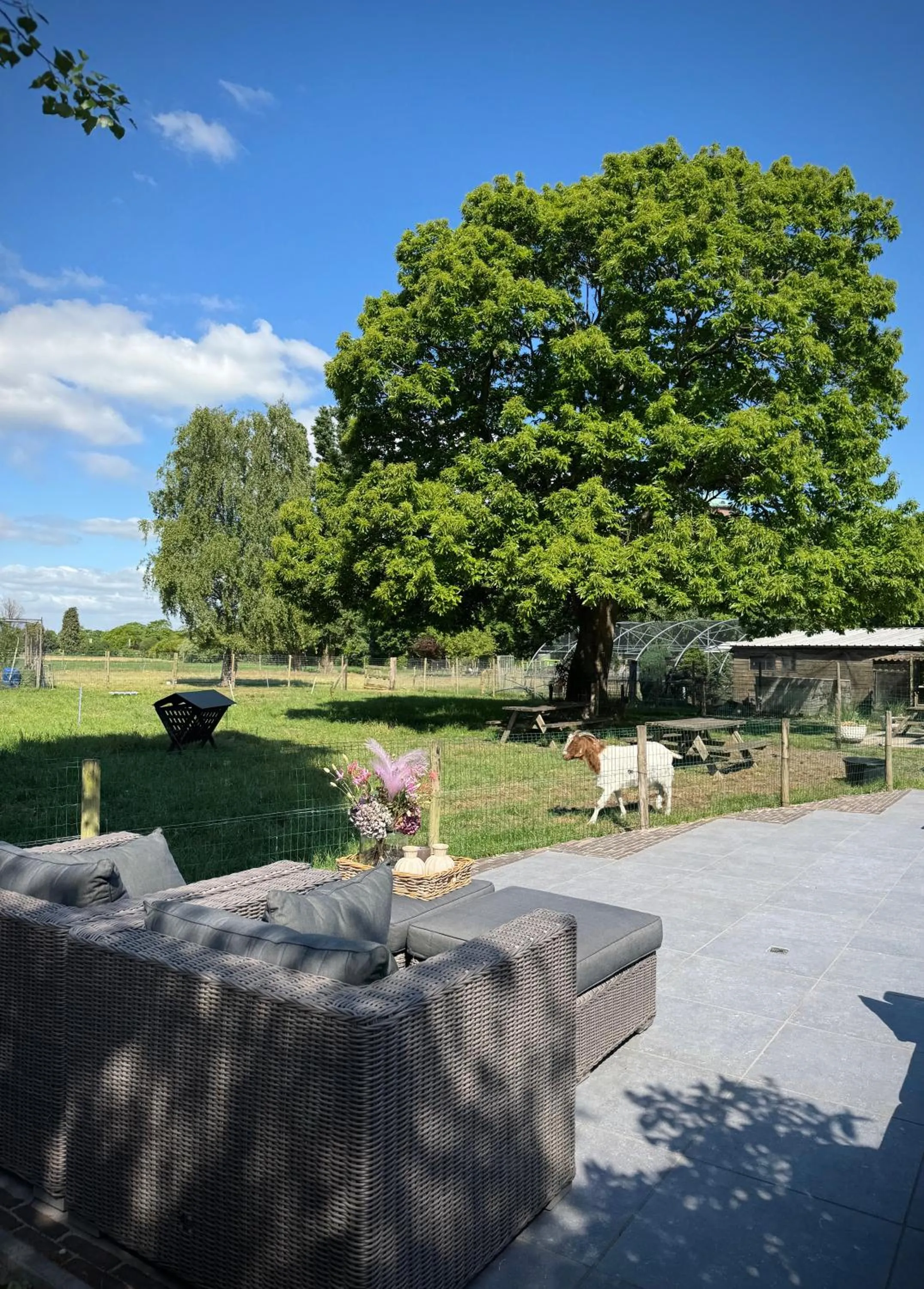 B&B Logeren bij van Heeren