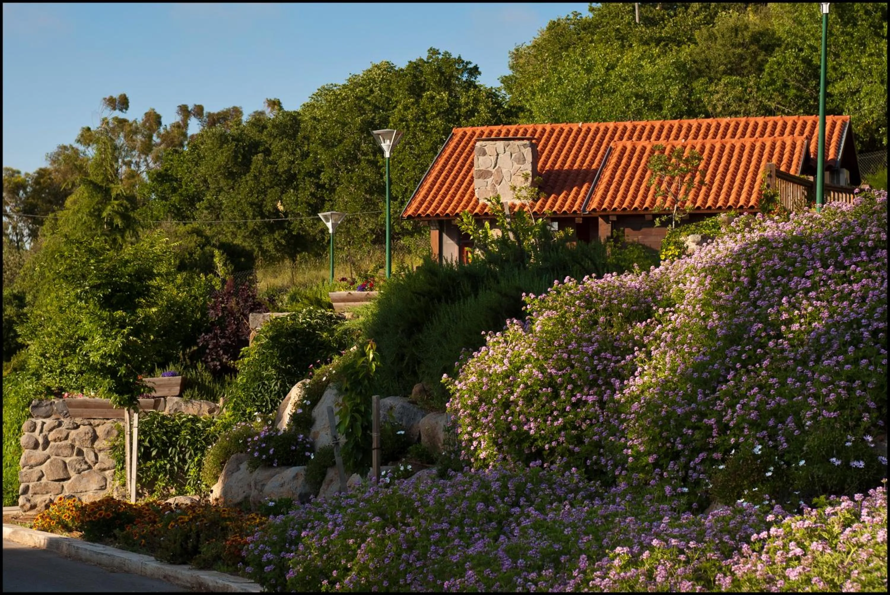 Garden in Merom Golan Resort