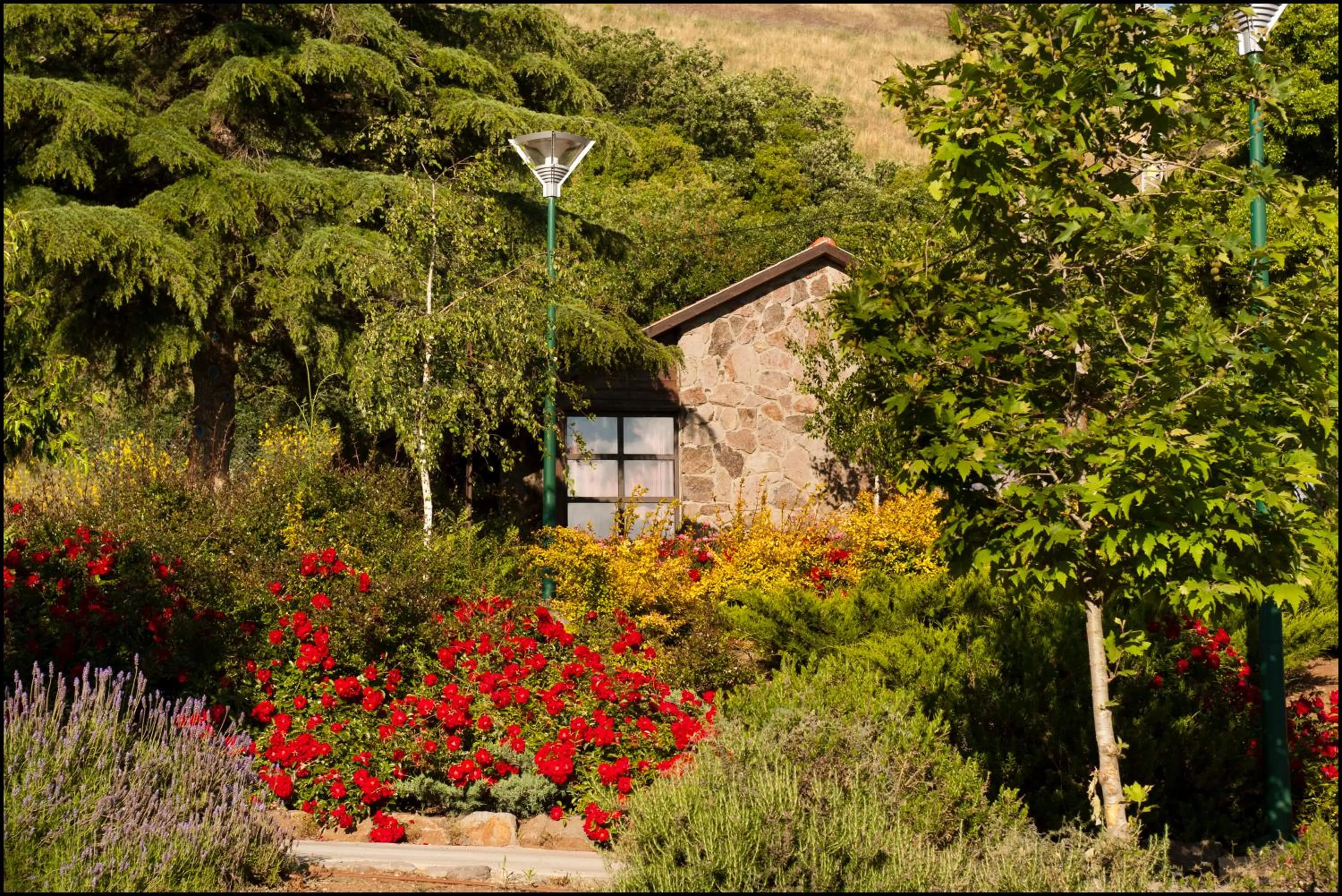 Natural landscape in Merom Golan Resort