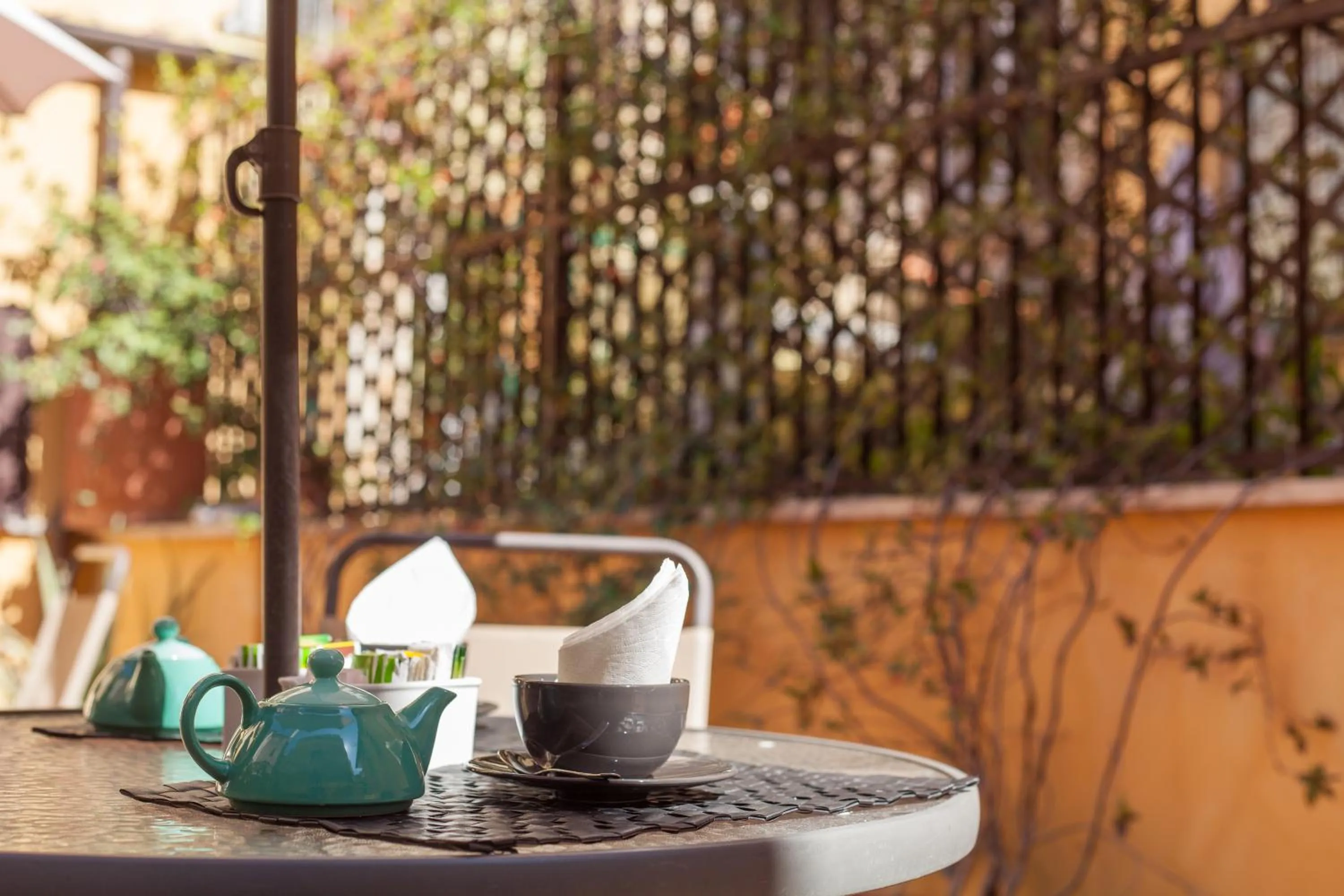 Garden in Sweet Dream Trevi