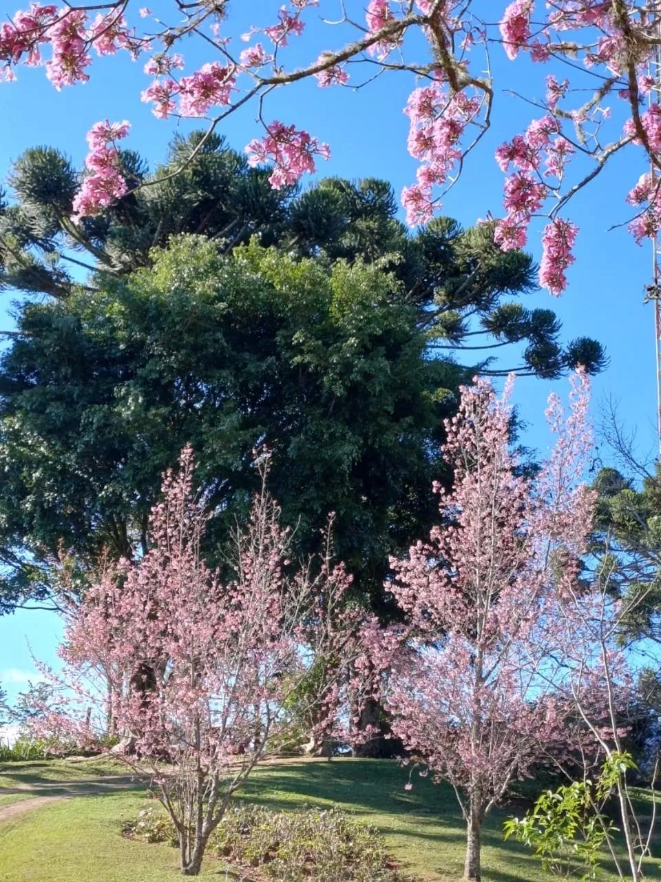 Garden view in Sítio Paradiso