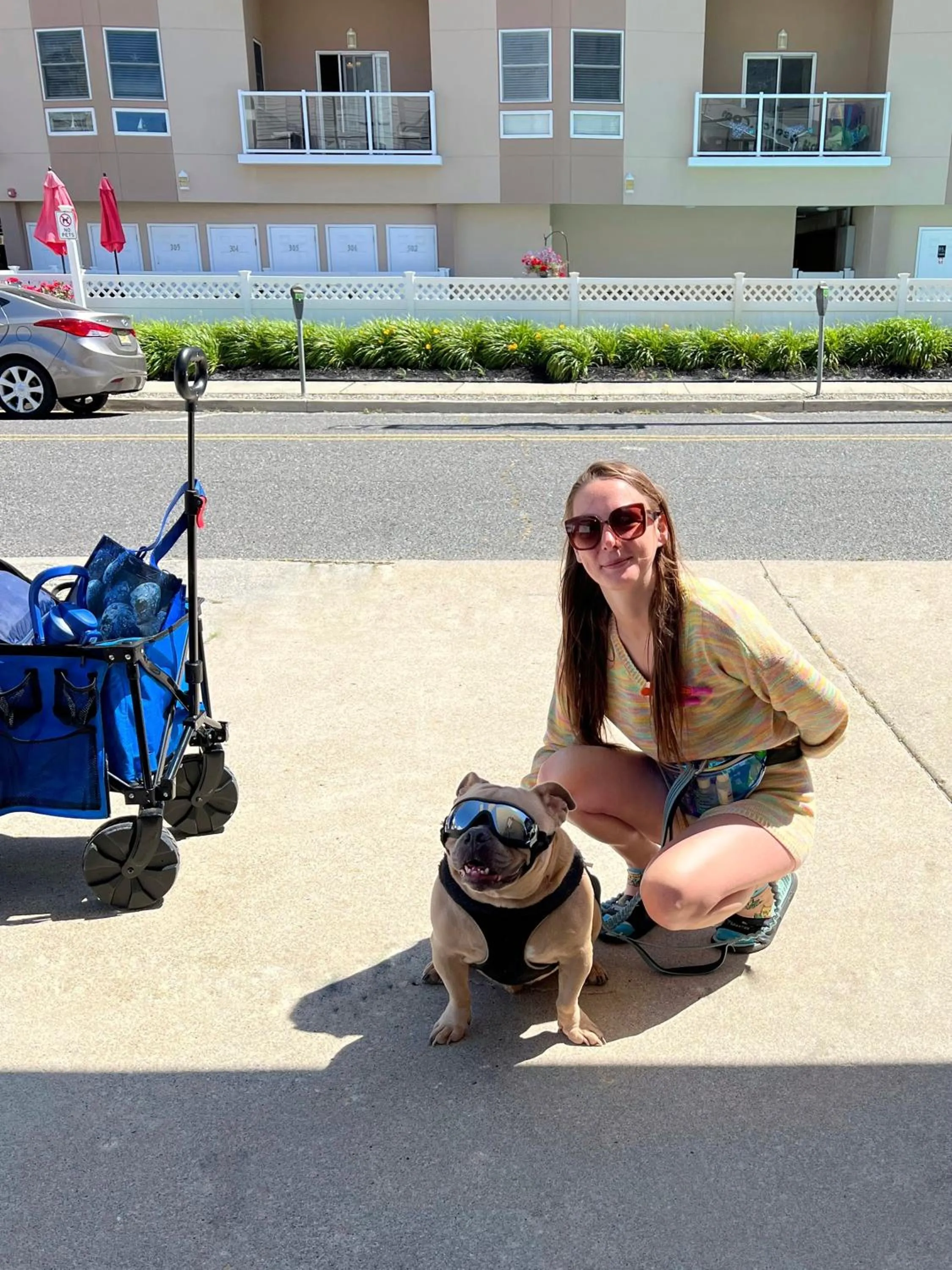 Pets in Beach Colony Motel