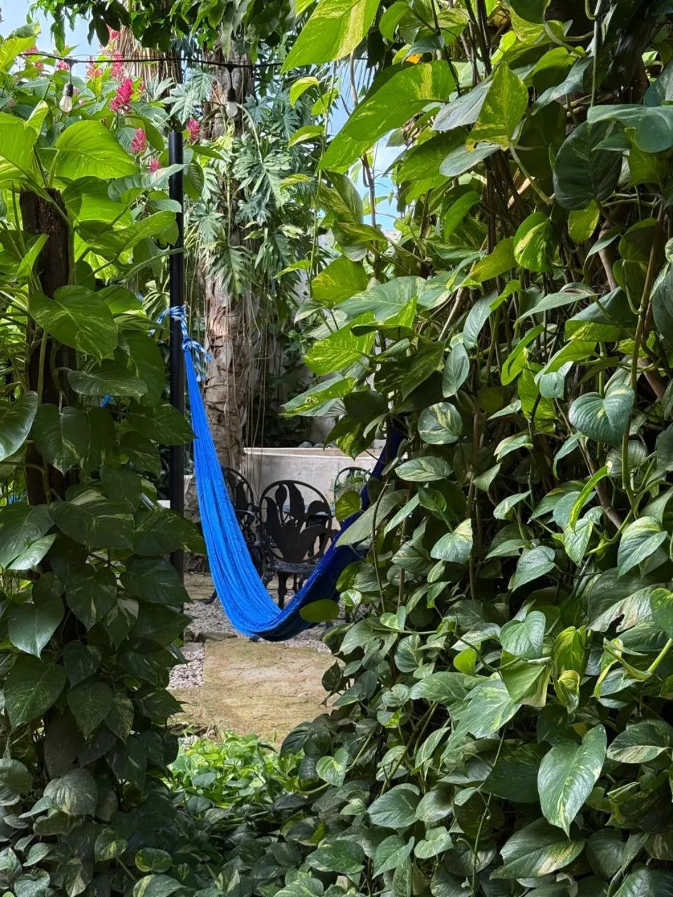 Garden in Real Haciendas