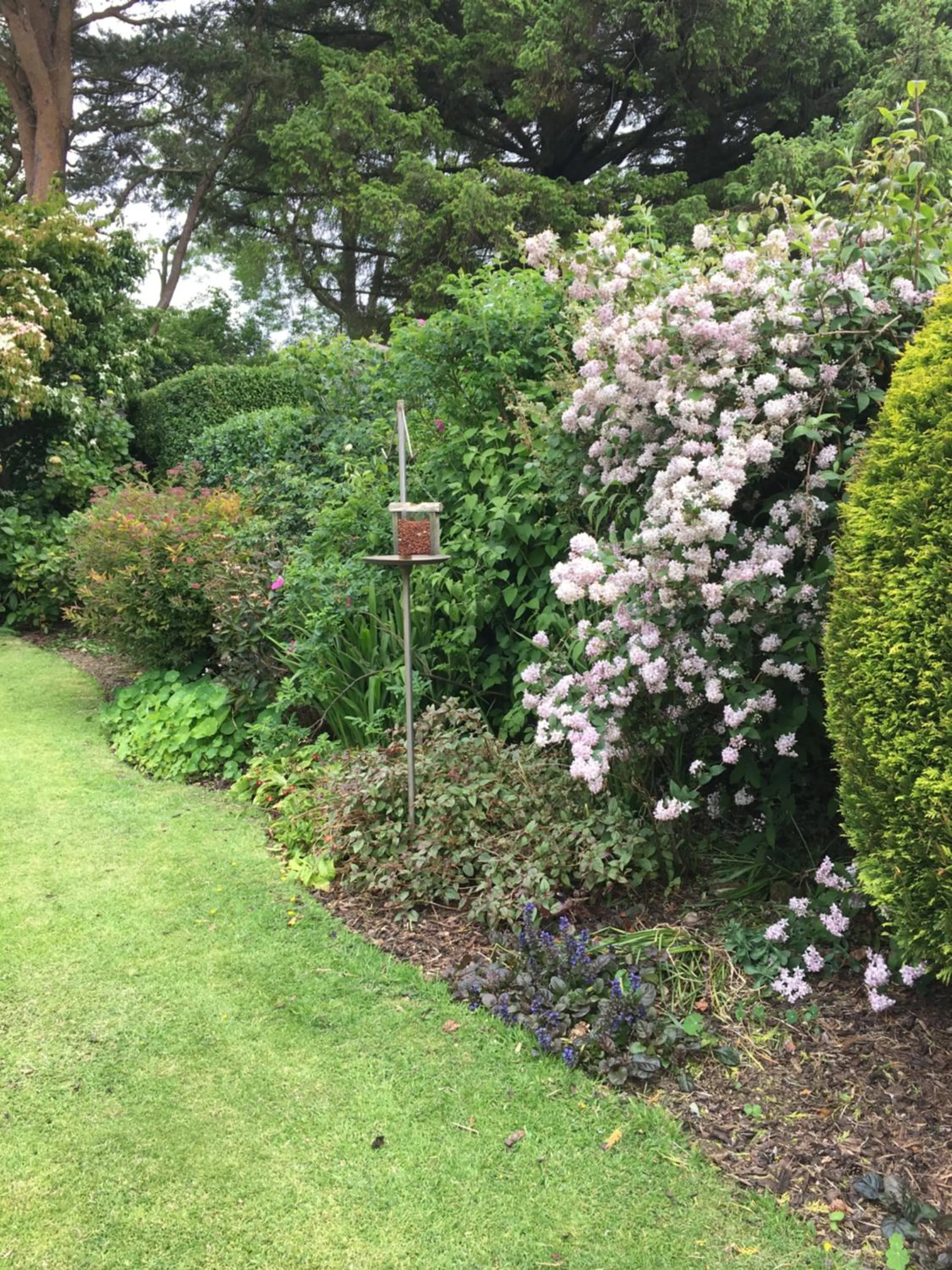 Garden in Ballacowell