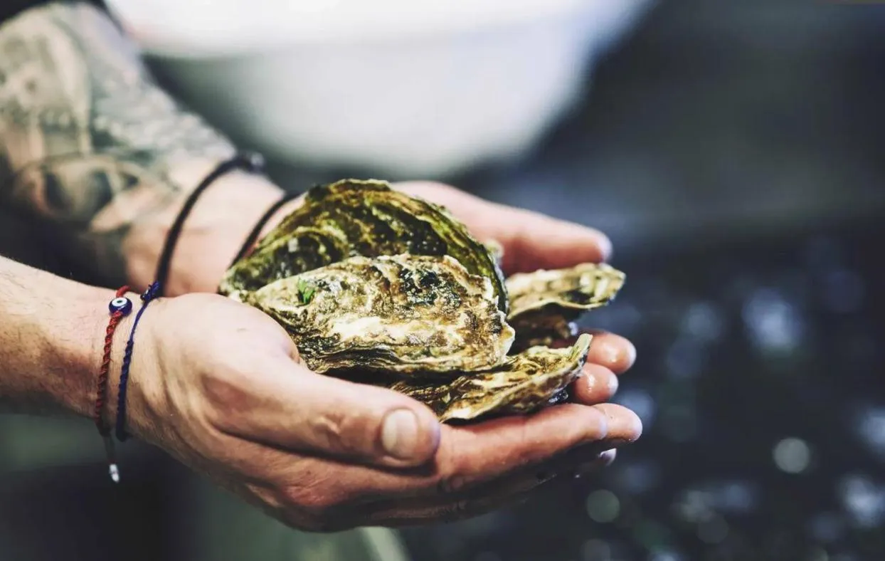 Mykonos Kosmoplaz Beach Resort Hotel