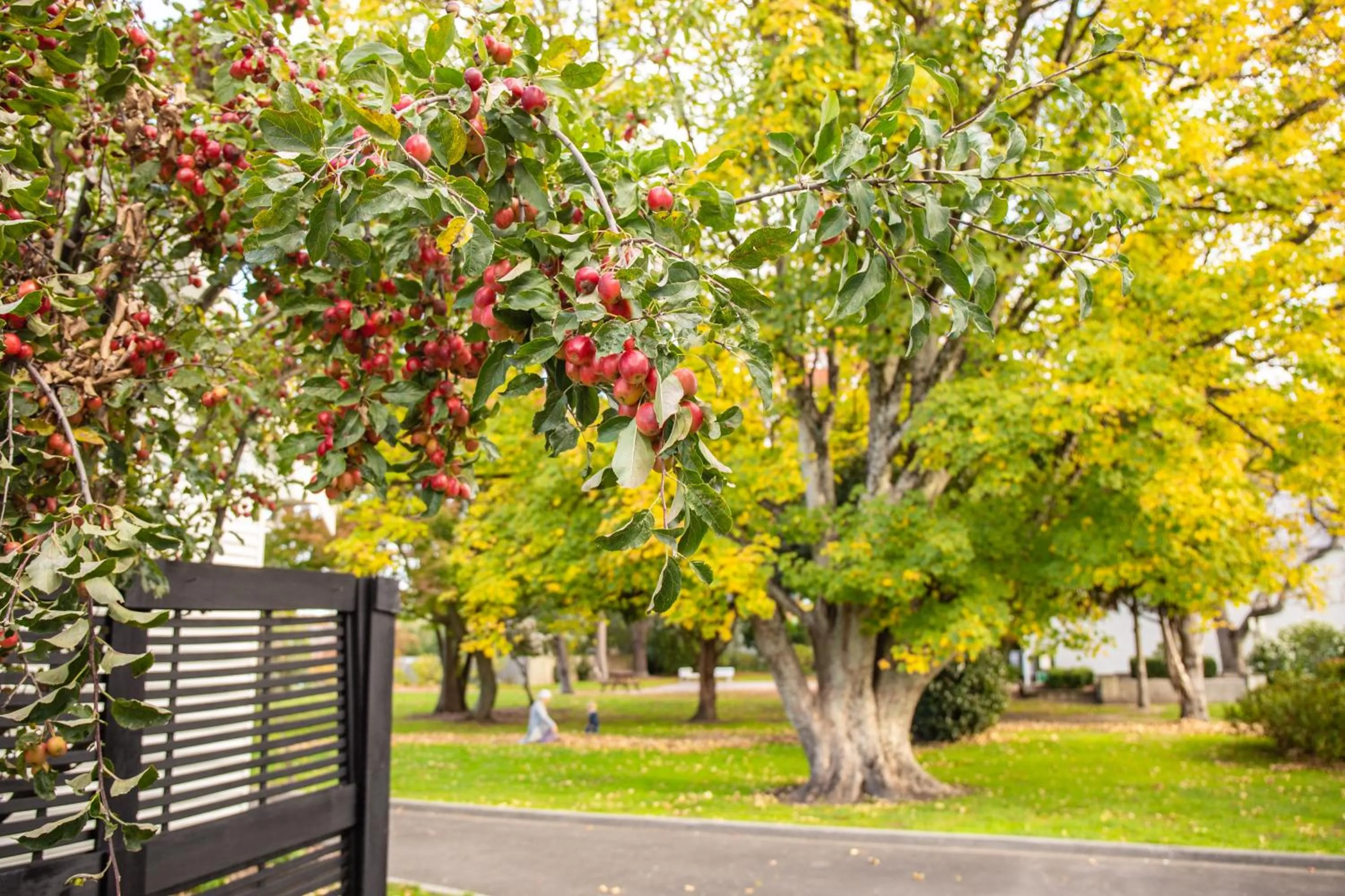 The White Swan Hotel