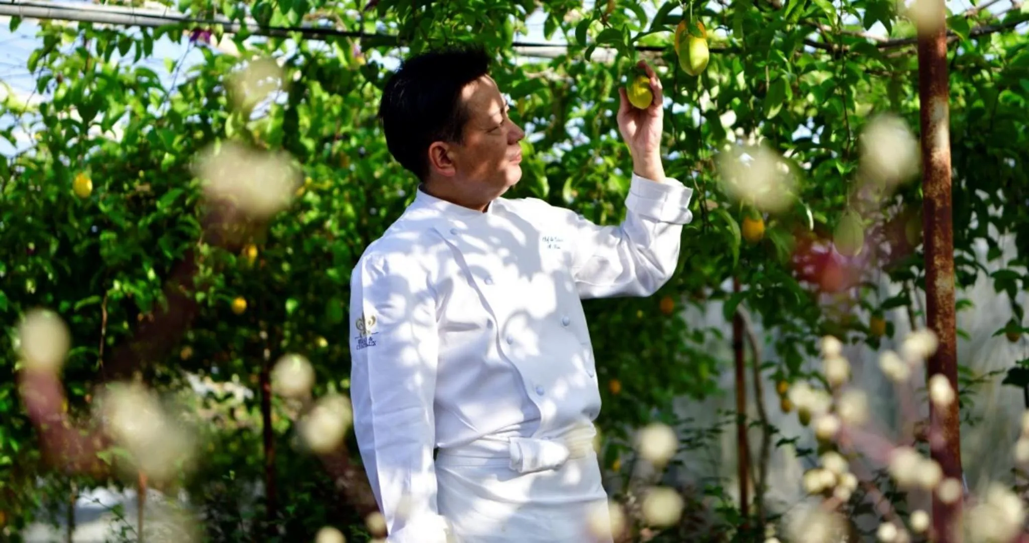 Other in The Uza Terrace Beach Club Villas