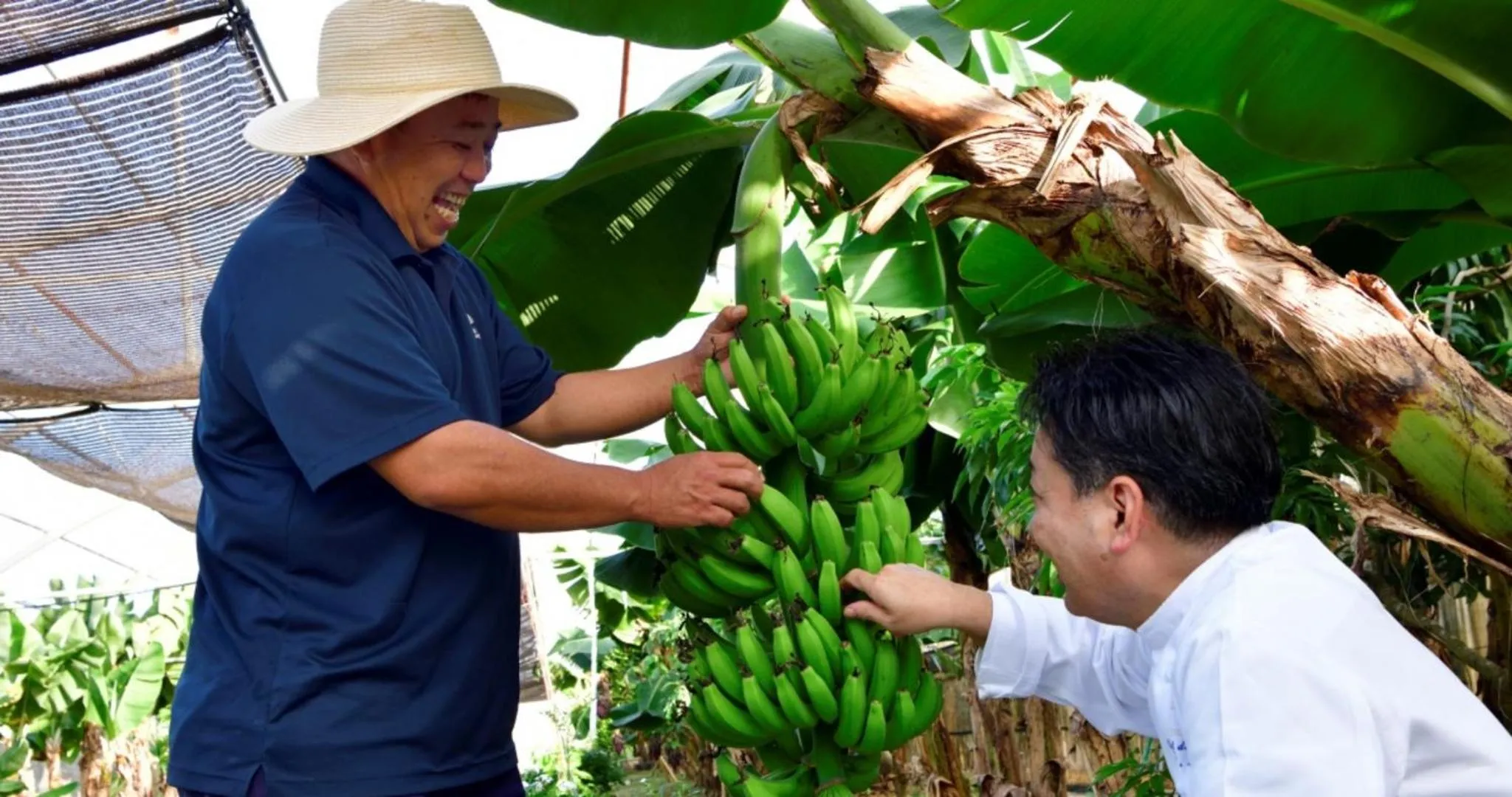 Area and facilities in The Uza Terrace Beach Club Villas