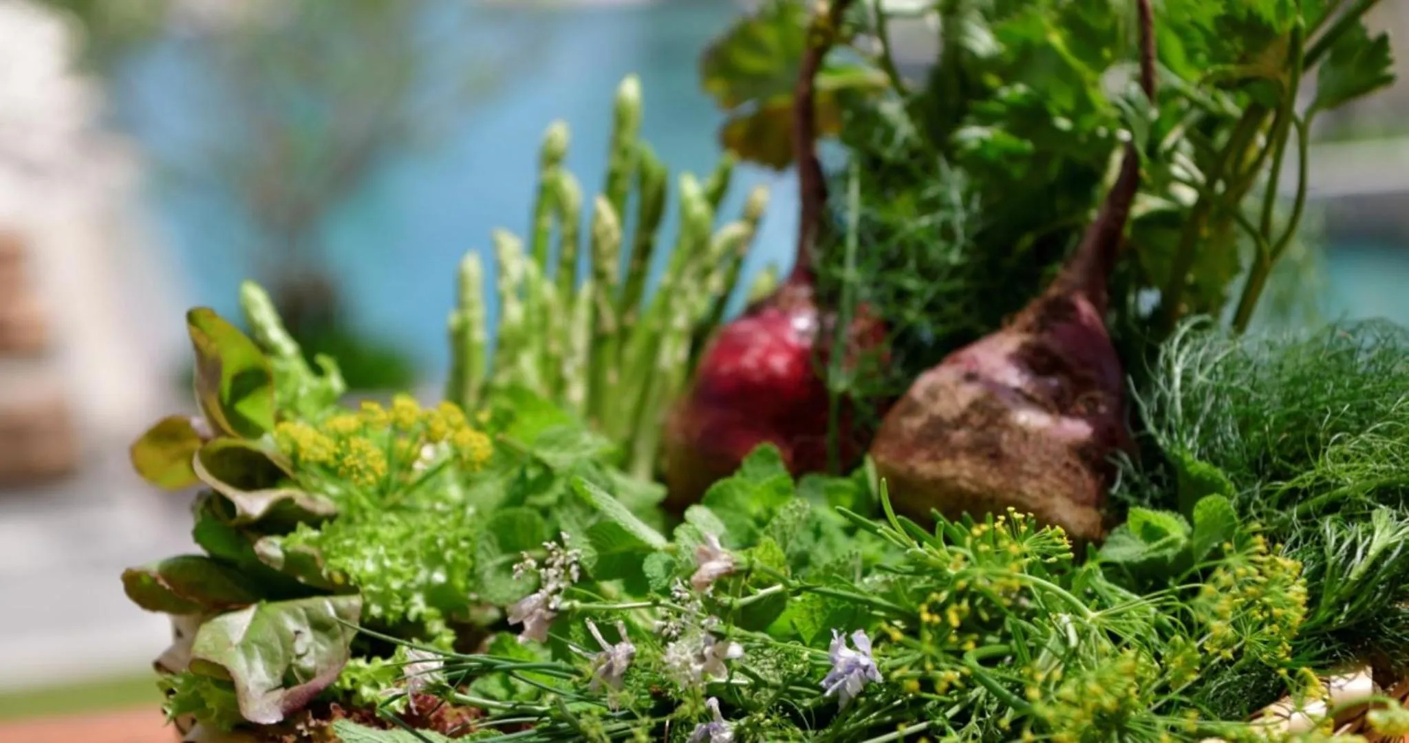 Other in The Uza Terrace Beach Club Villas