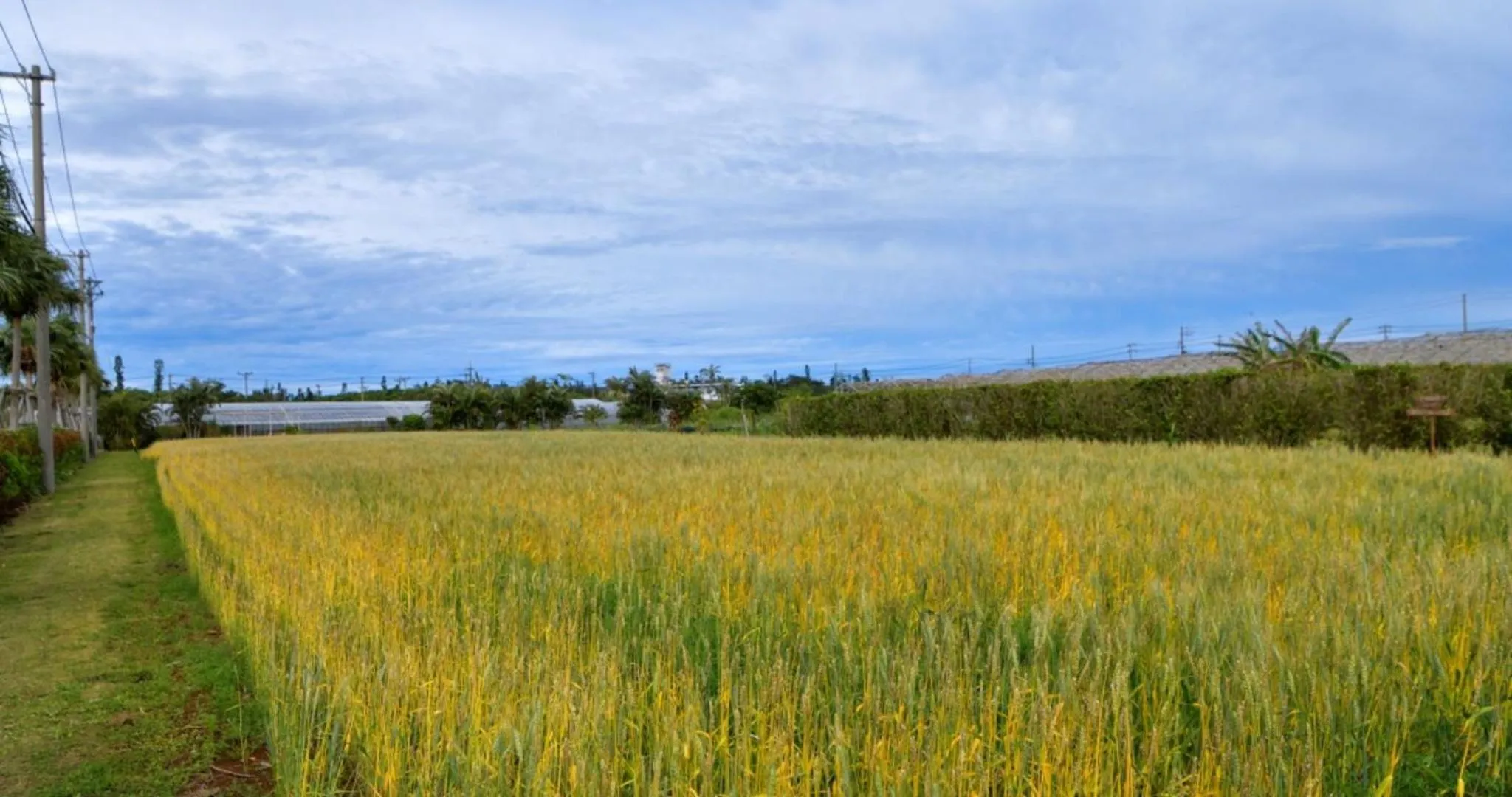 Area and facilities in The Uza Terrace Beach Club Villas