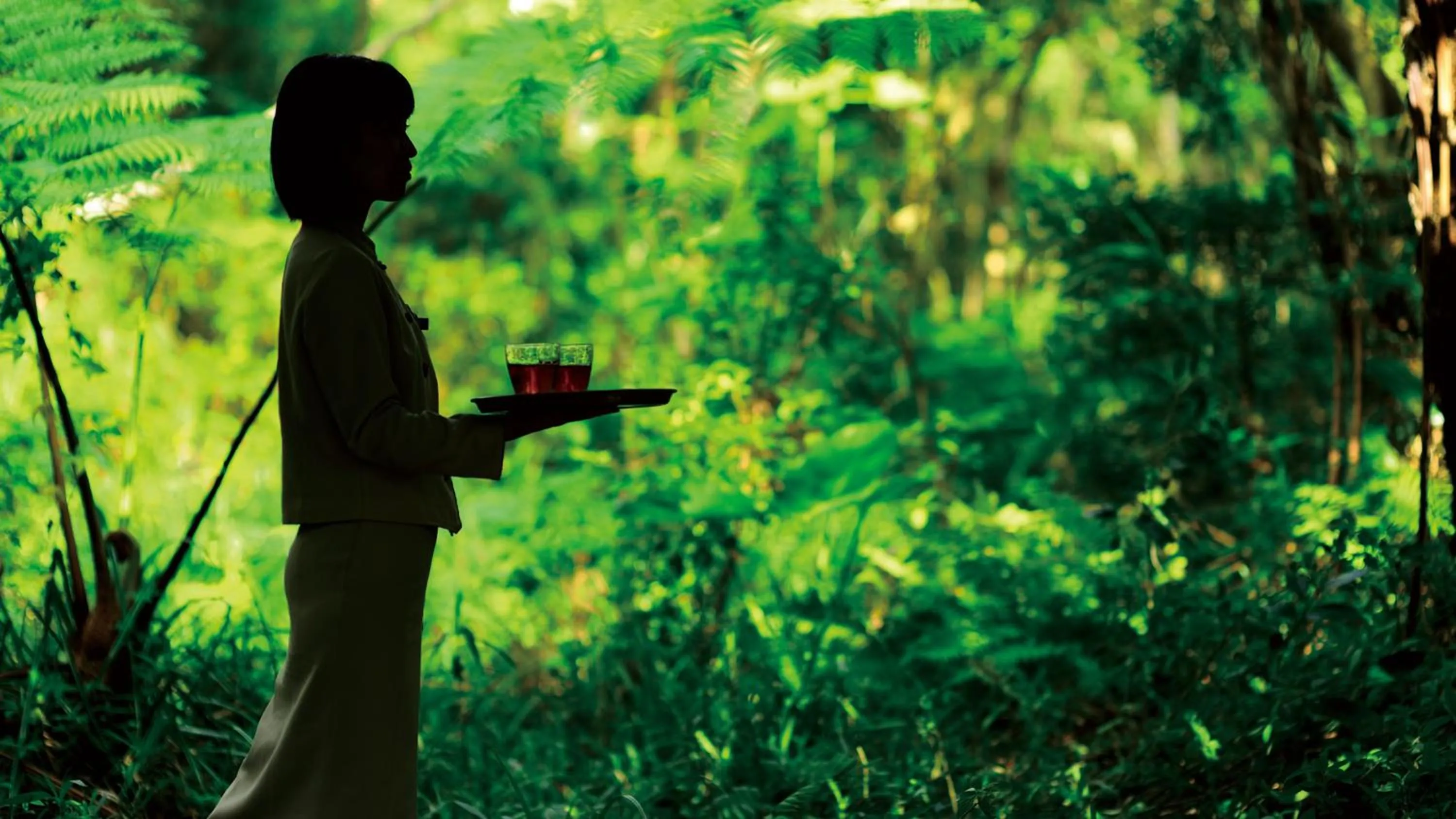 On site in The Atta Terrace Club Towers