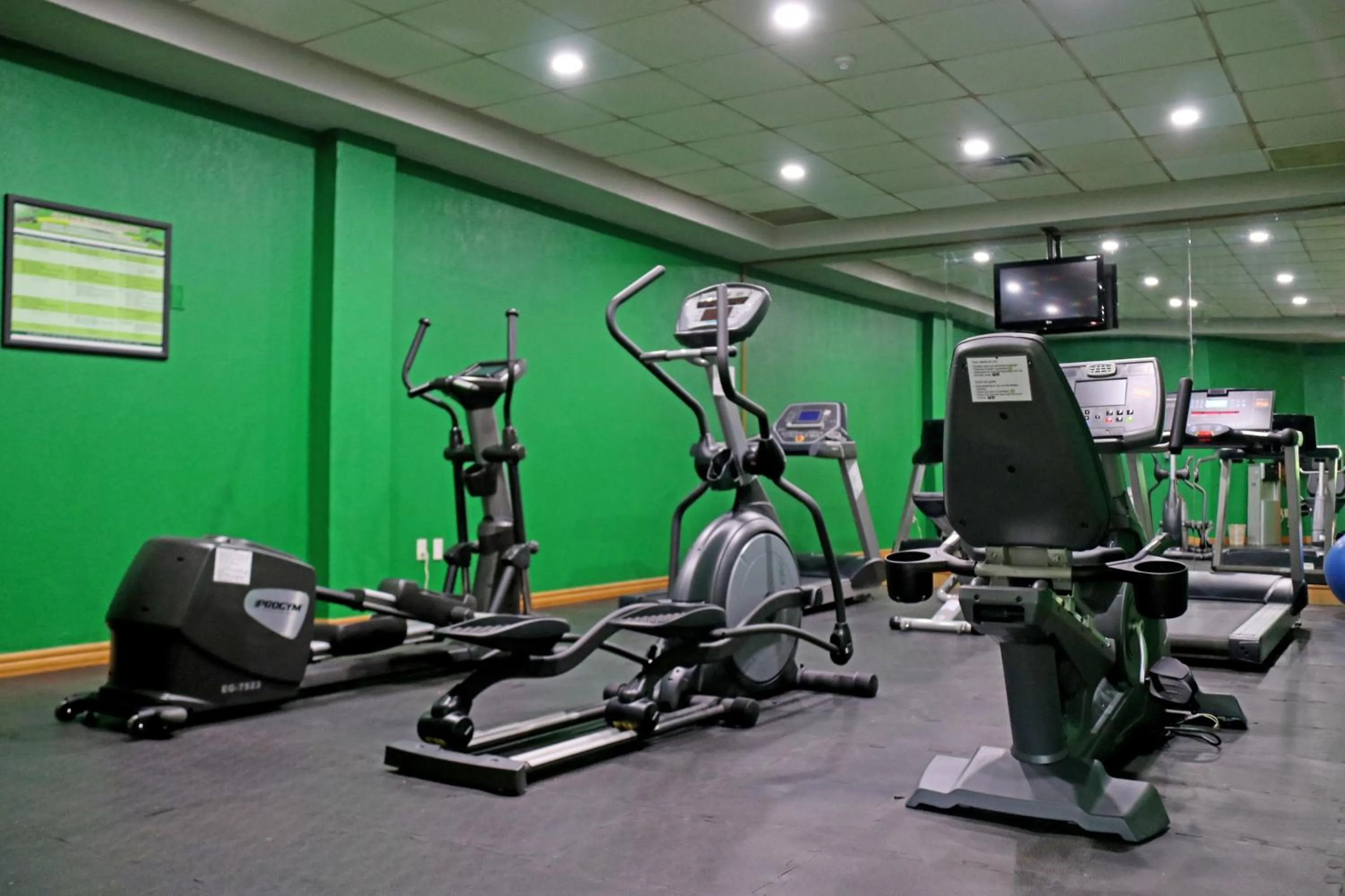 Spa and wellness centre/facilities in Holiday Inn La Piedad by IHG