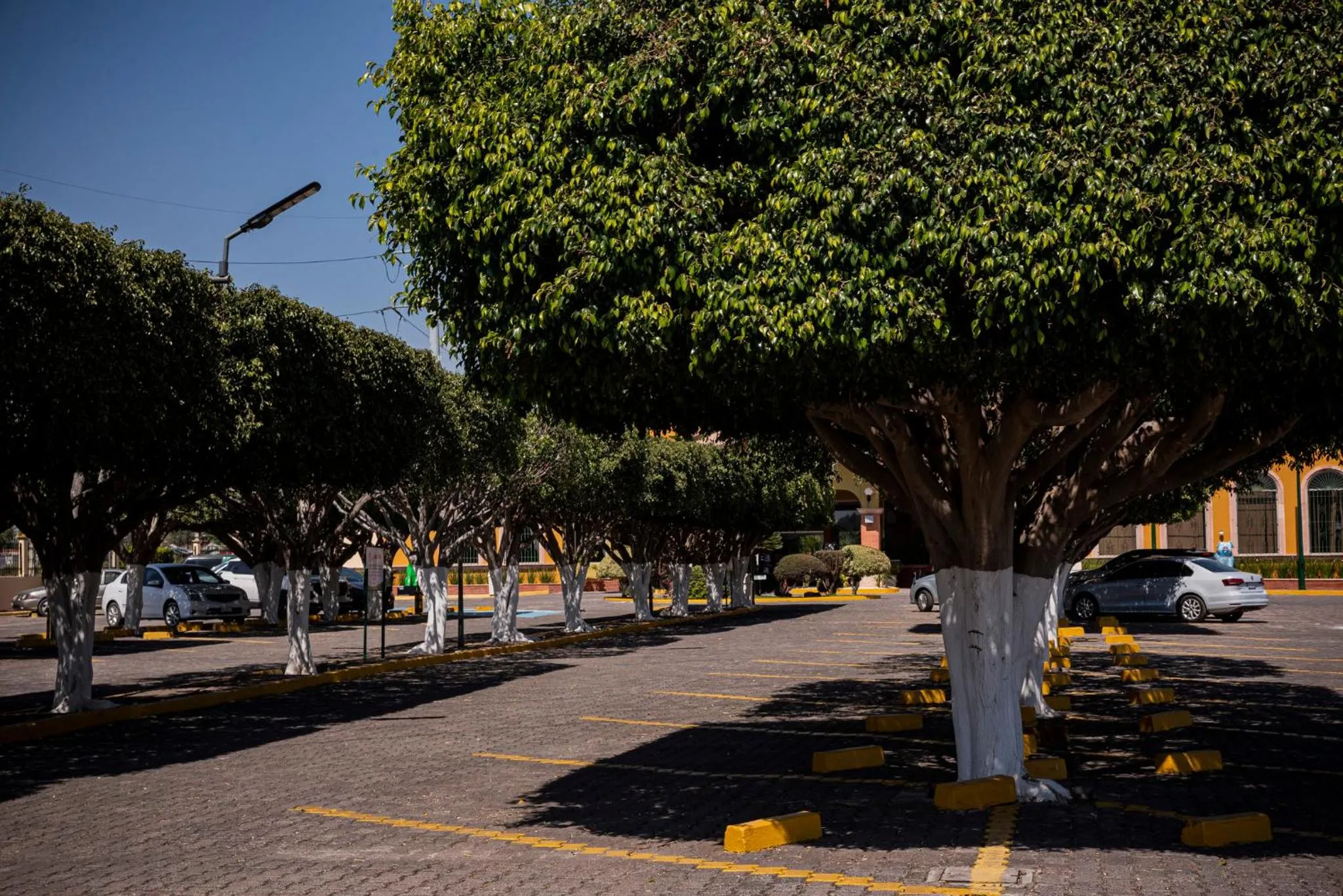 Property building in Holiday Inn La Piedad by IHG