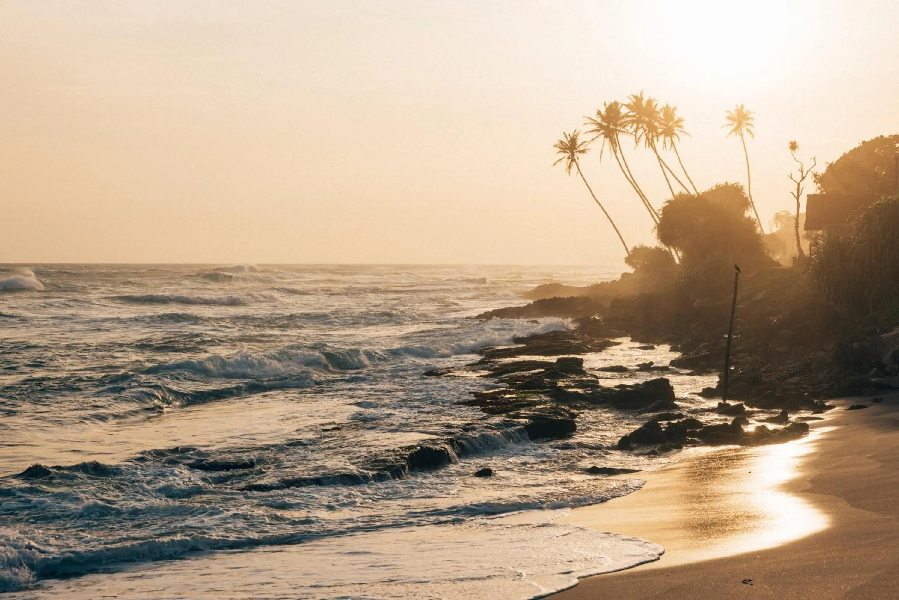 Owl and the Pussycat Hotel & Restaurant