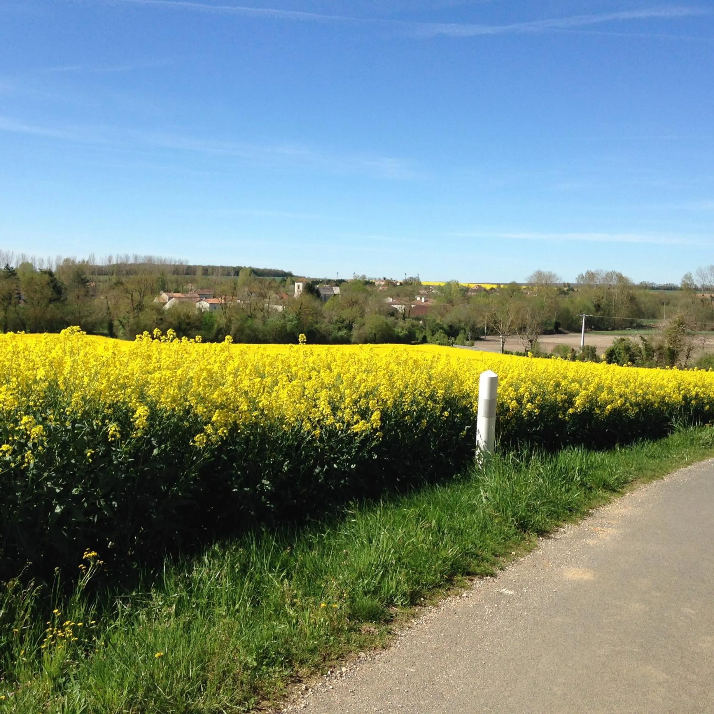 Natural landscape in Le Petit Bijou