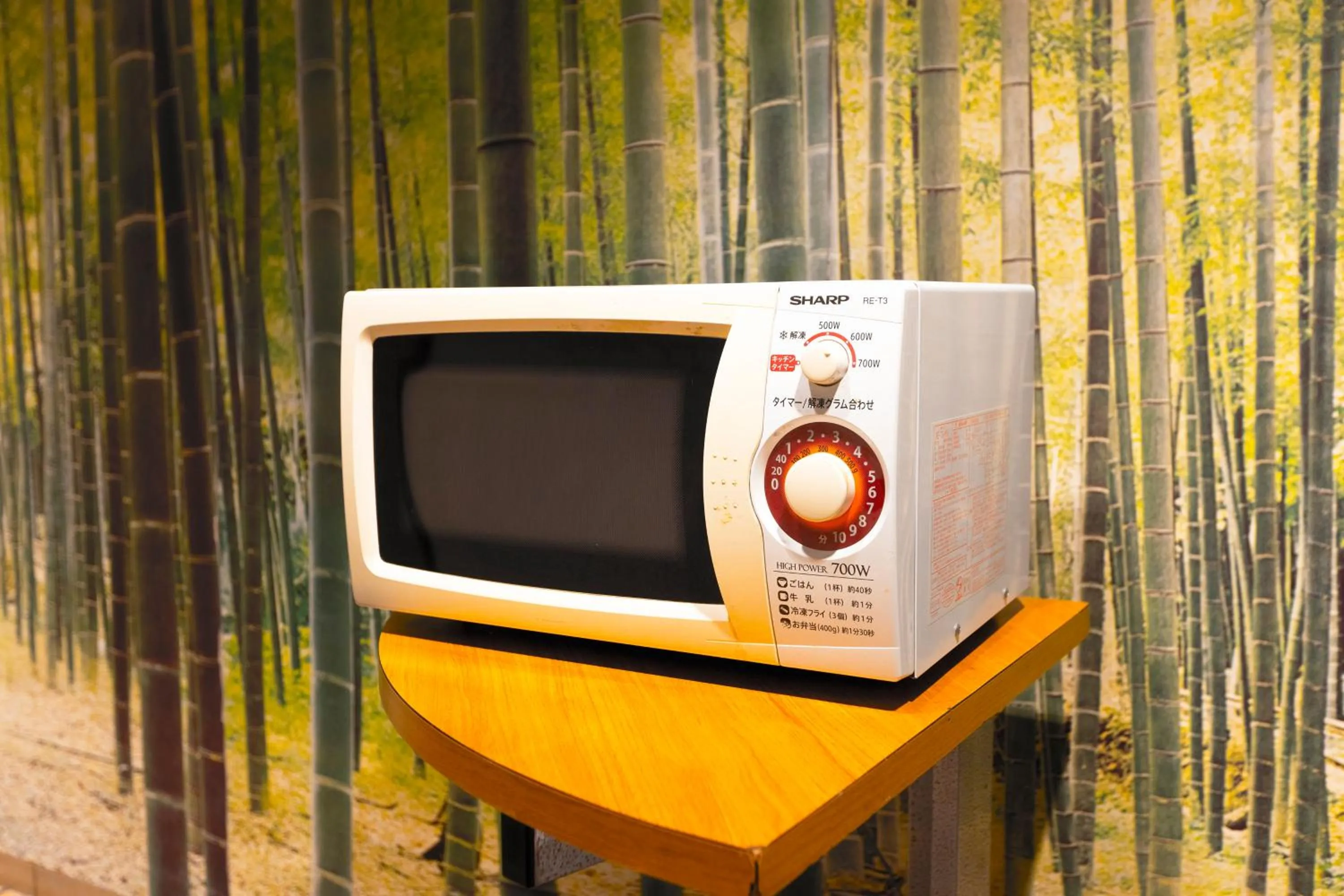 minibar in City Hotel Air Port in Prince