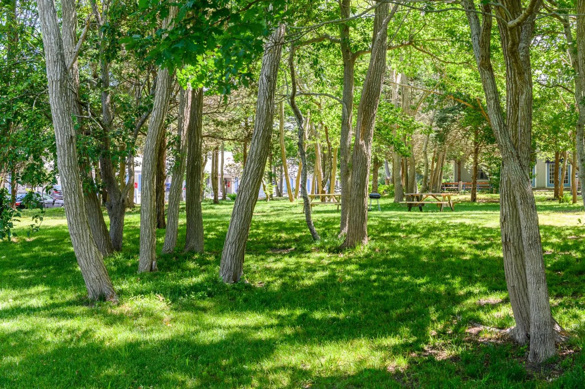 Garden in Captains Quarters Motel & Conference Center