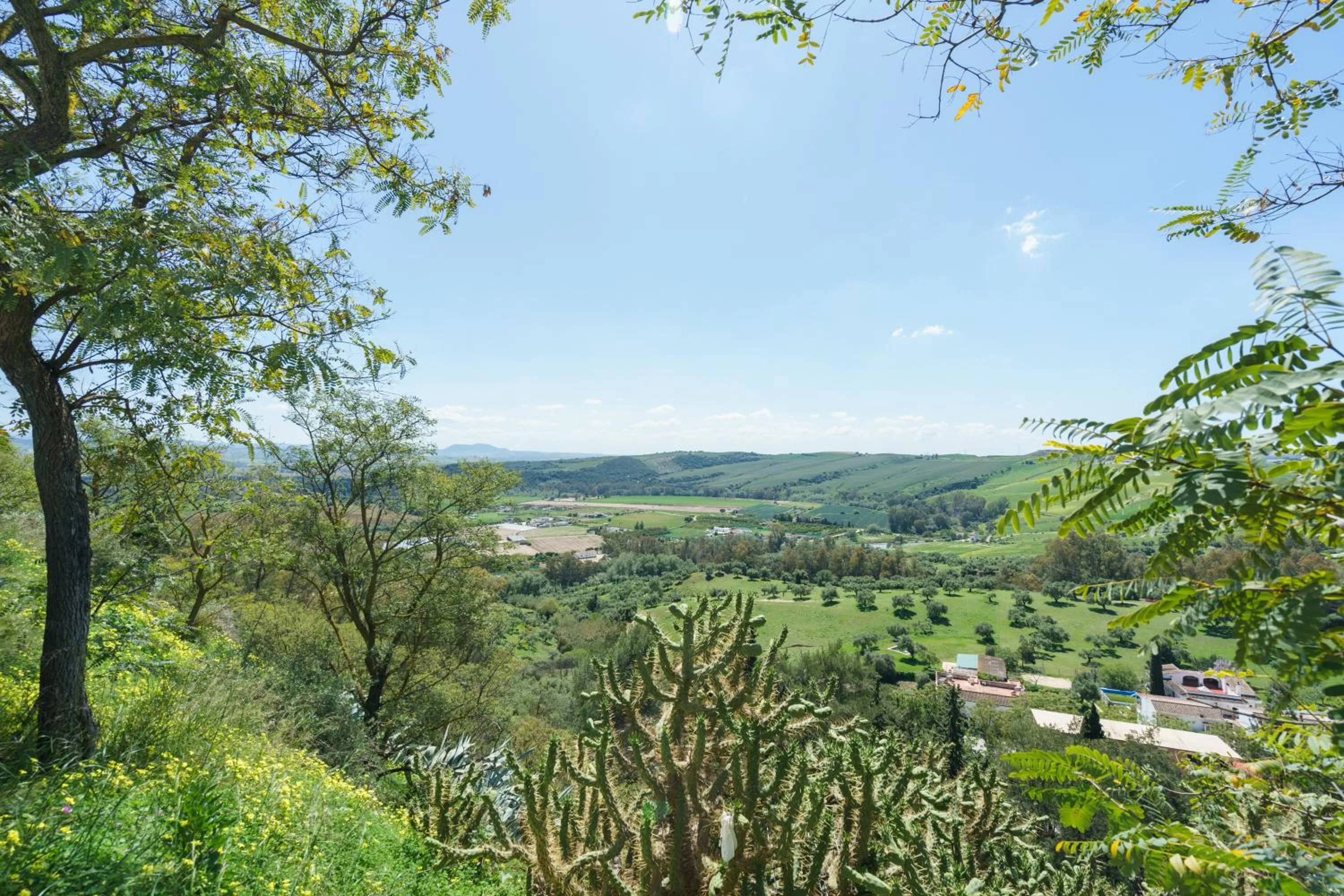 Natural landscape in Hotel Marqués de Torresoto by Vivere Stays