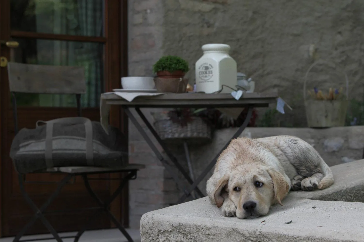 Staff in Premignaga Natural Home