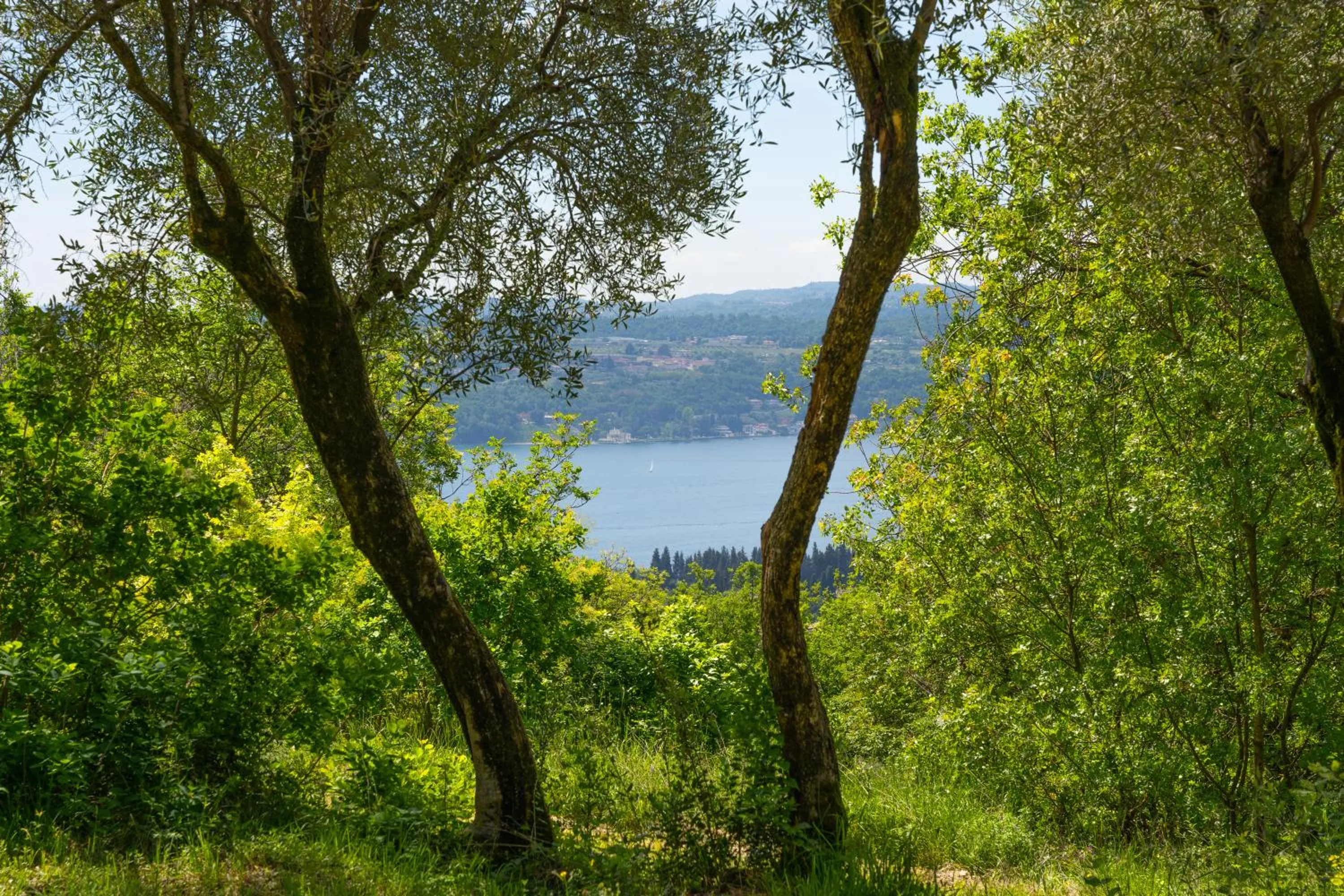 Lake view in Premignaga Natural Home