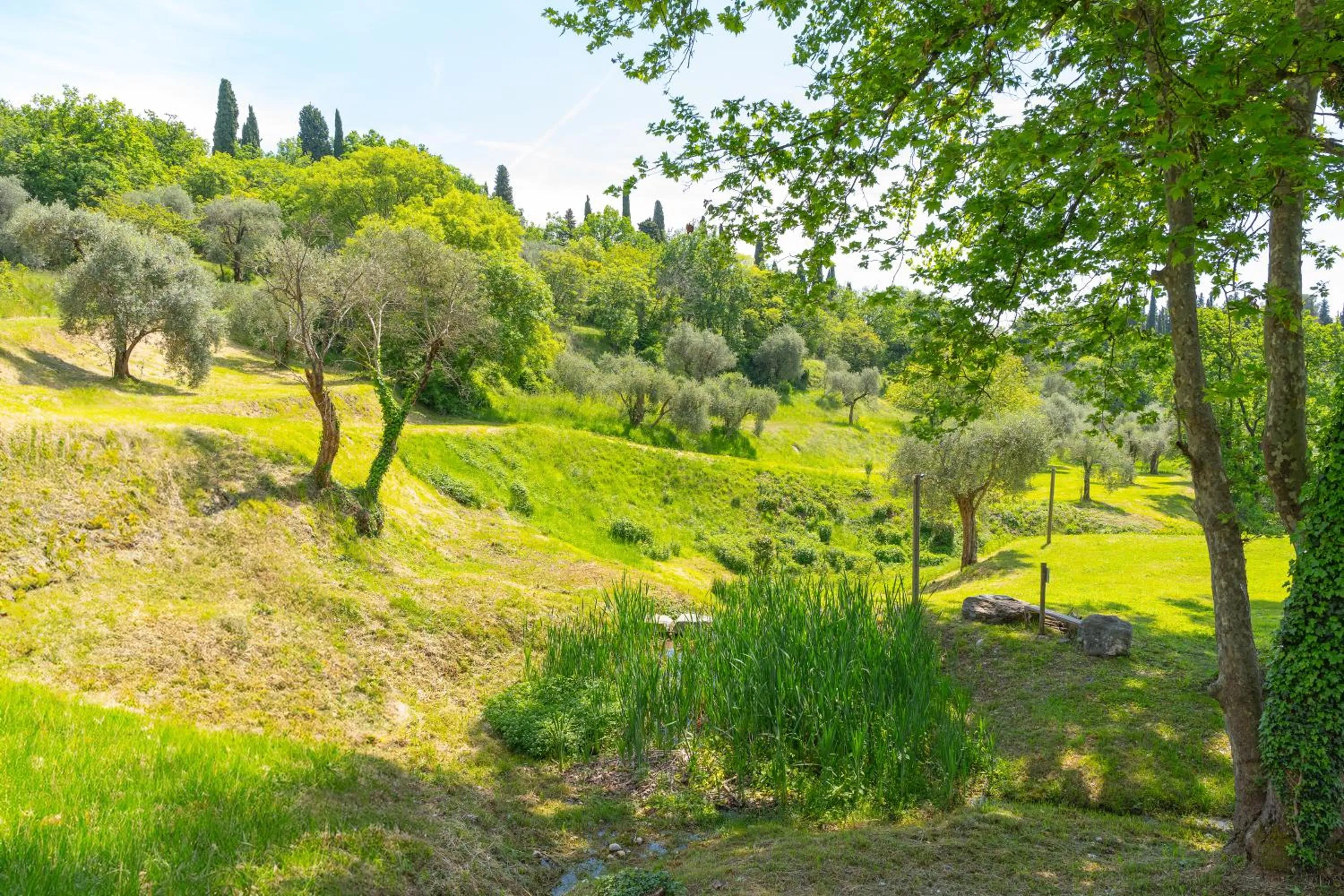 Garden in Premignaga Natural Home