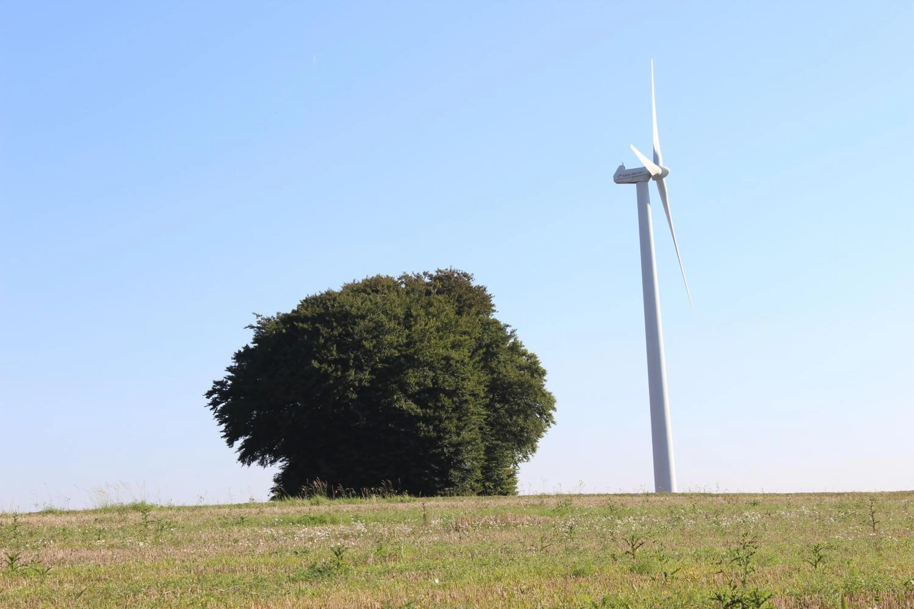 Natural landscape in Hotel Reiff