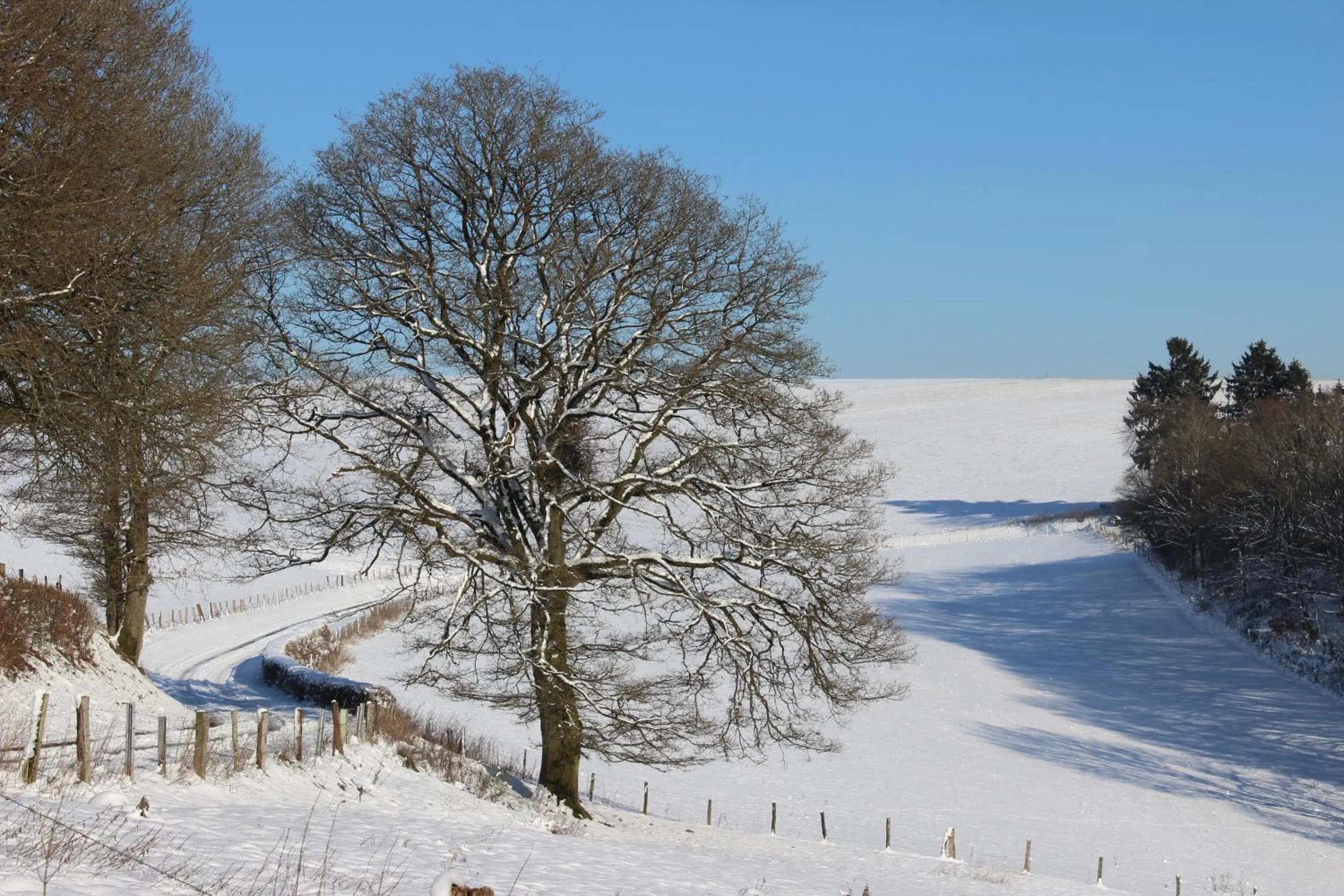 Natural landscape in Hotel Reiff