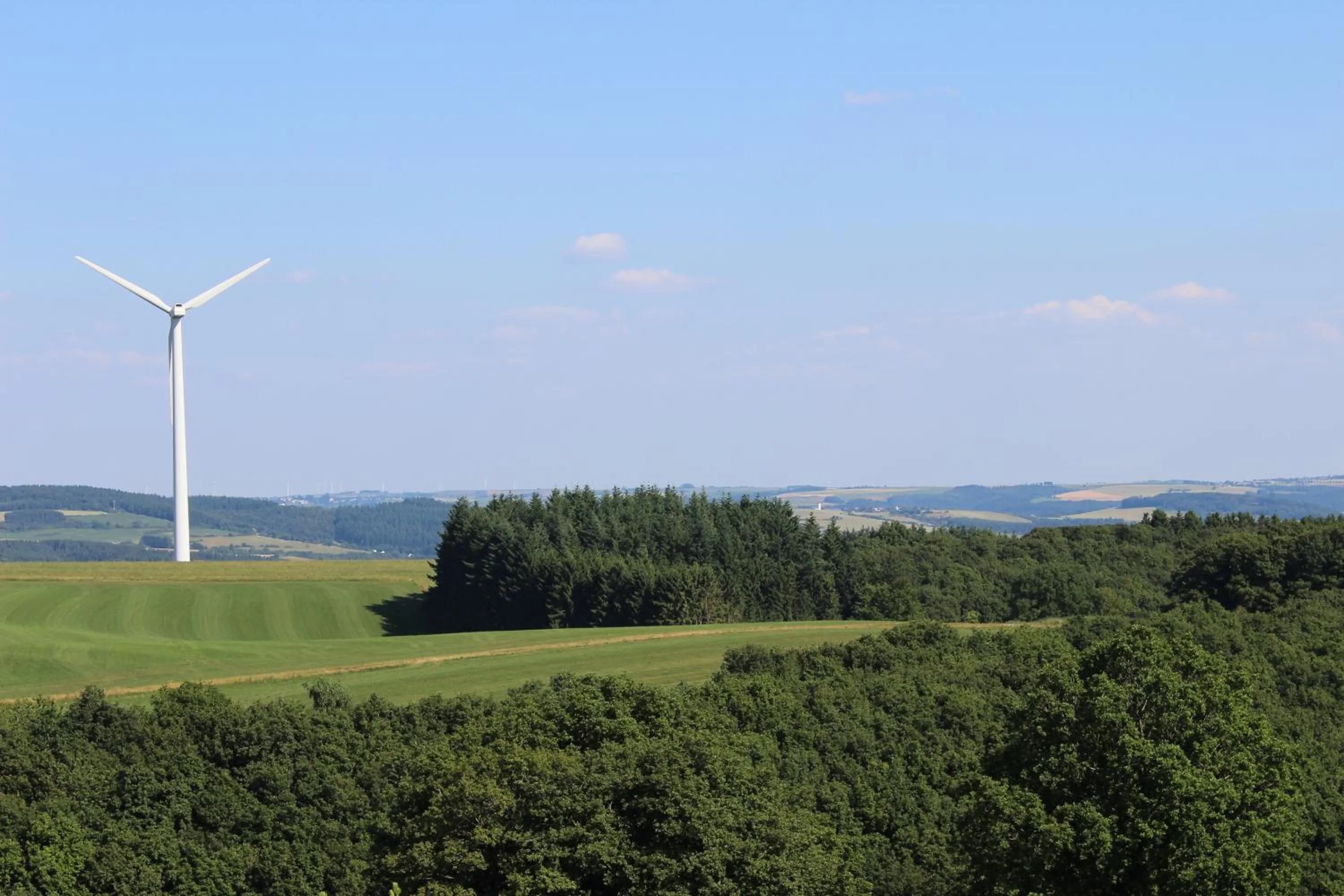 Natural landscape in Hotel Reiff