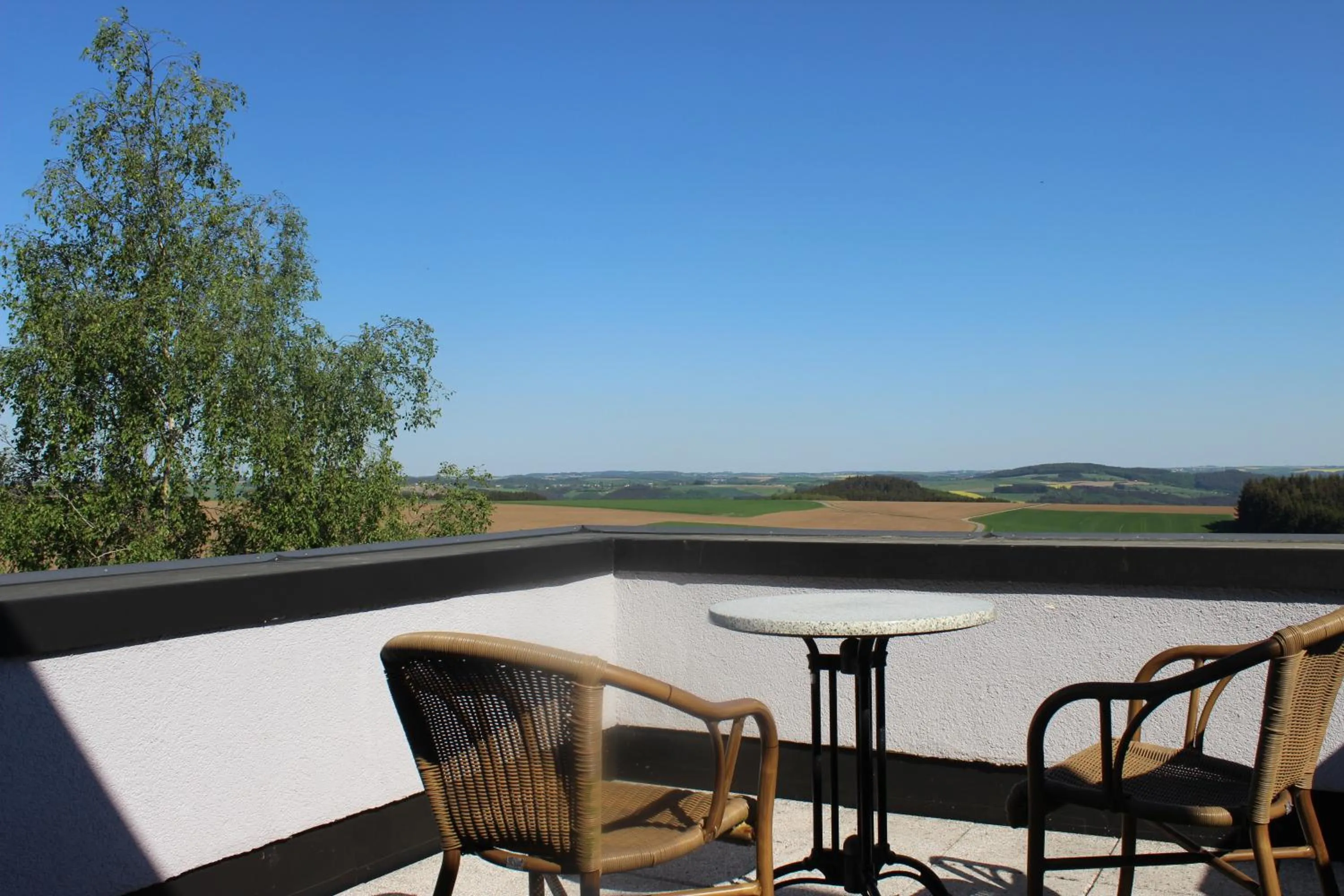 Landmark view in Hotel Reiff