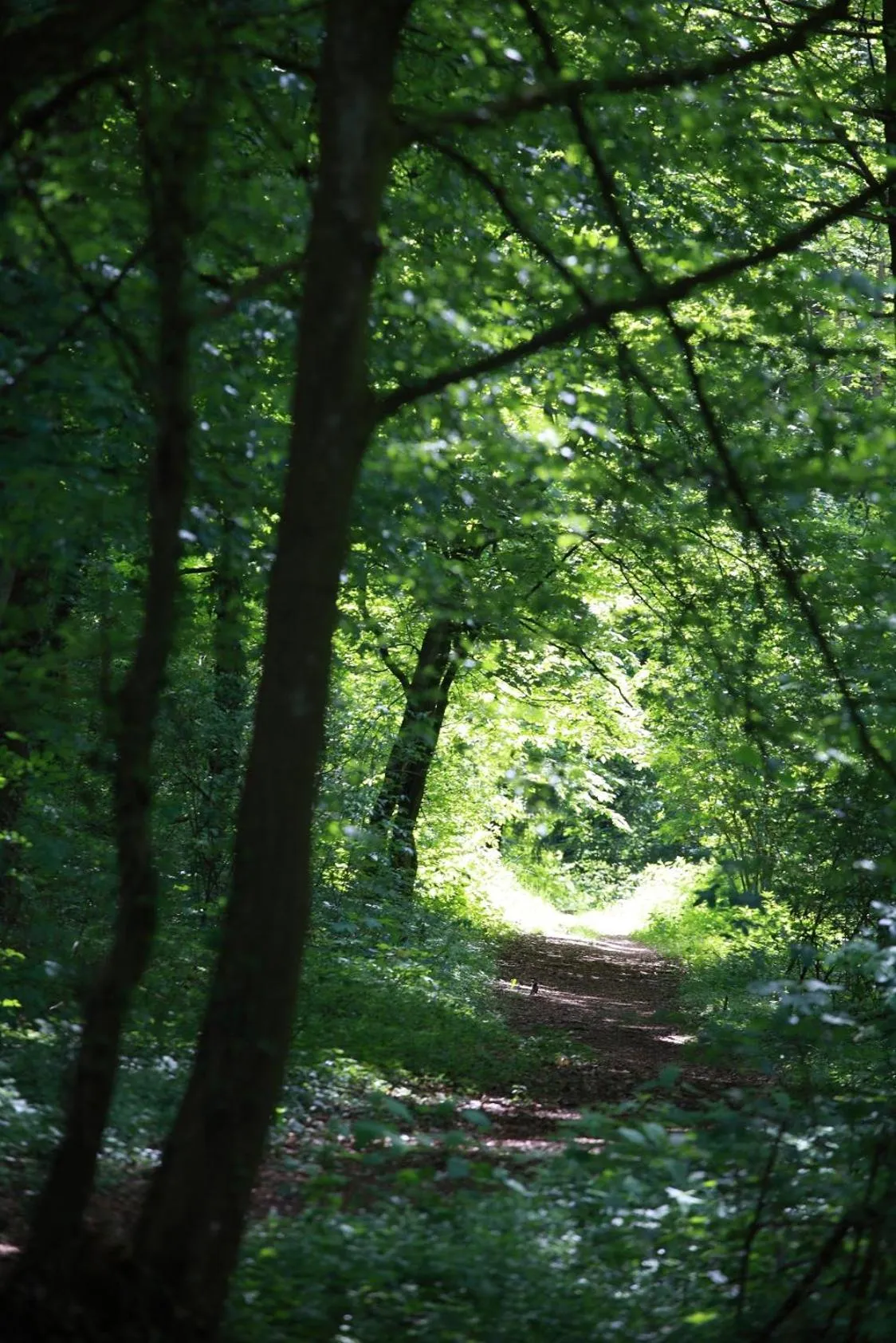 View (from property/room) in The Seven Hotel