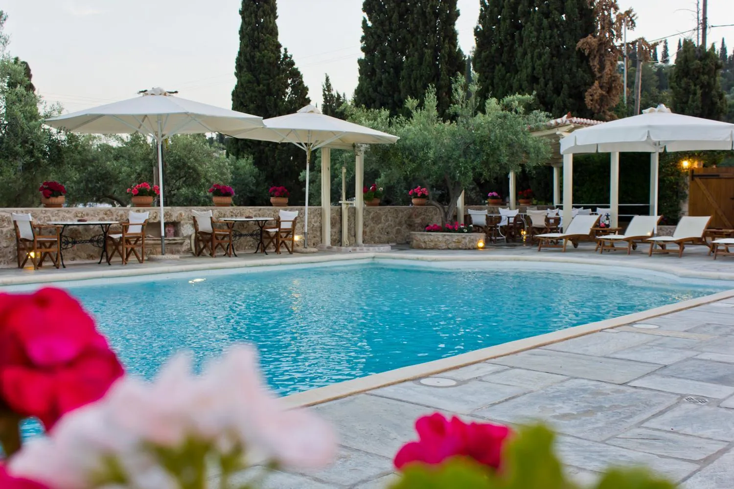 Swimming pool in Villa Nika