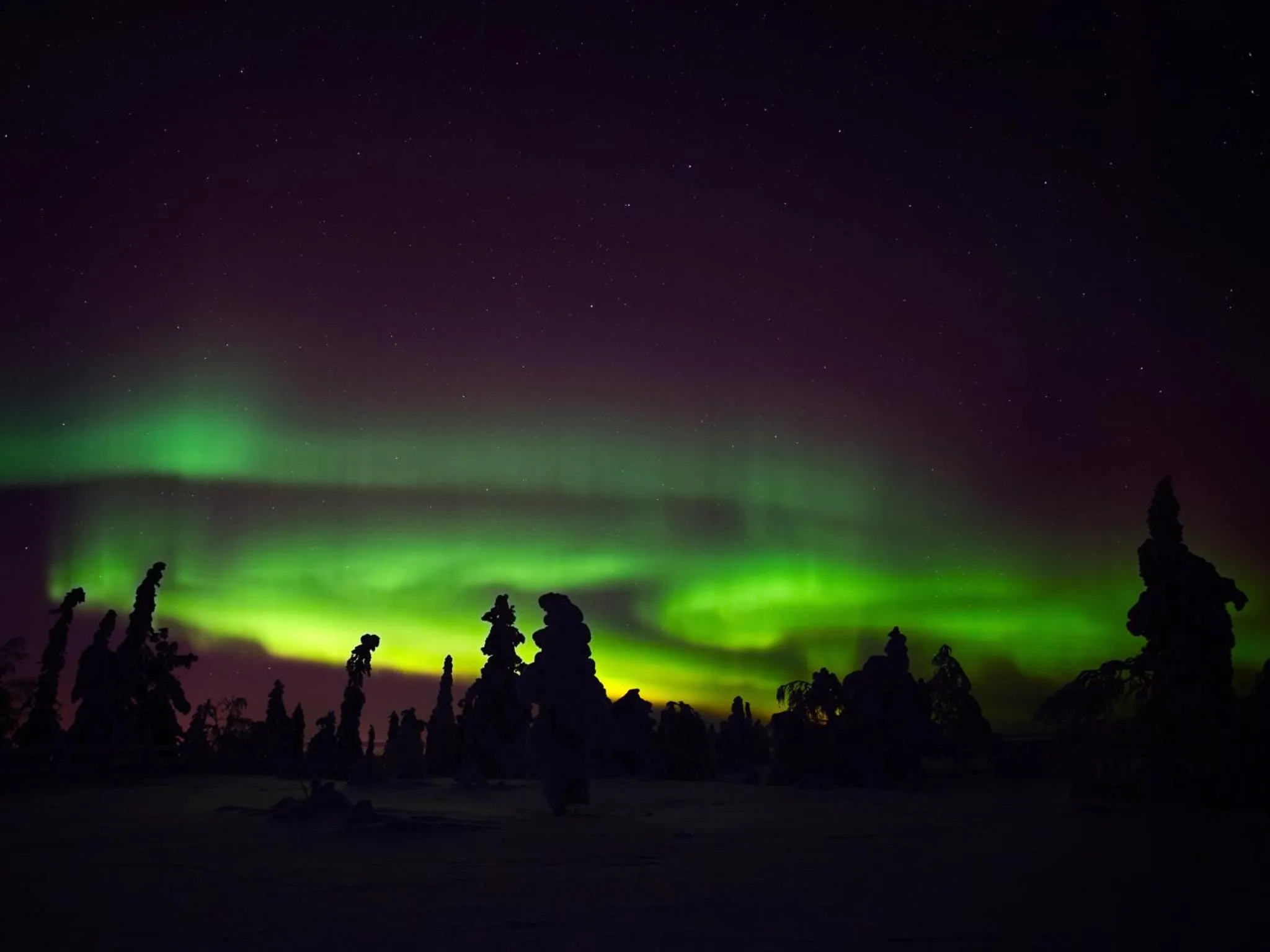Santa's Hotel Aurora & Igloos