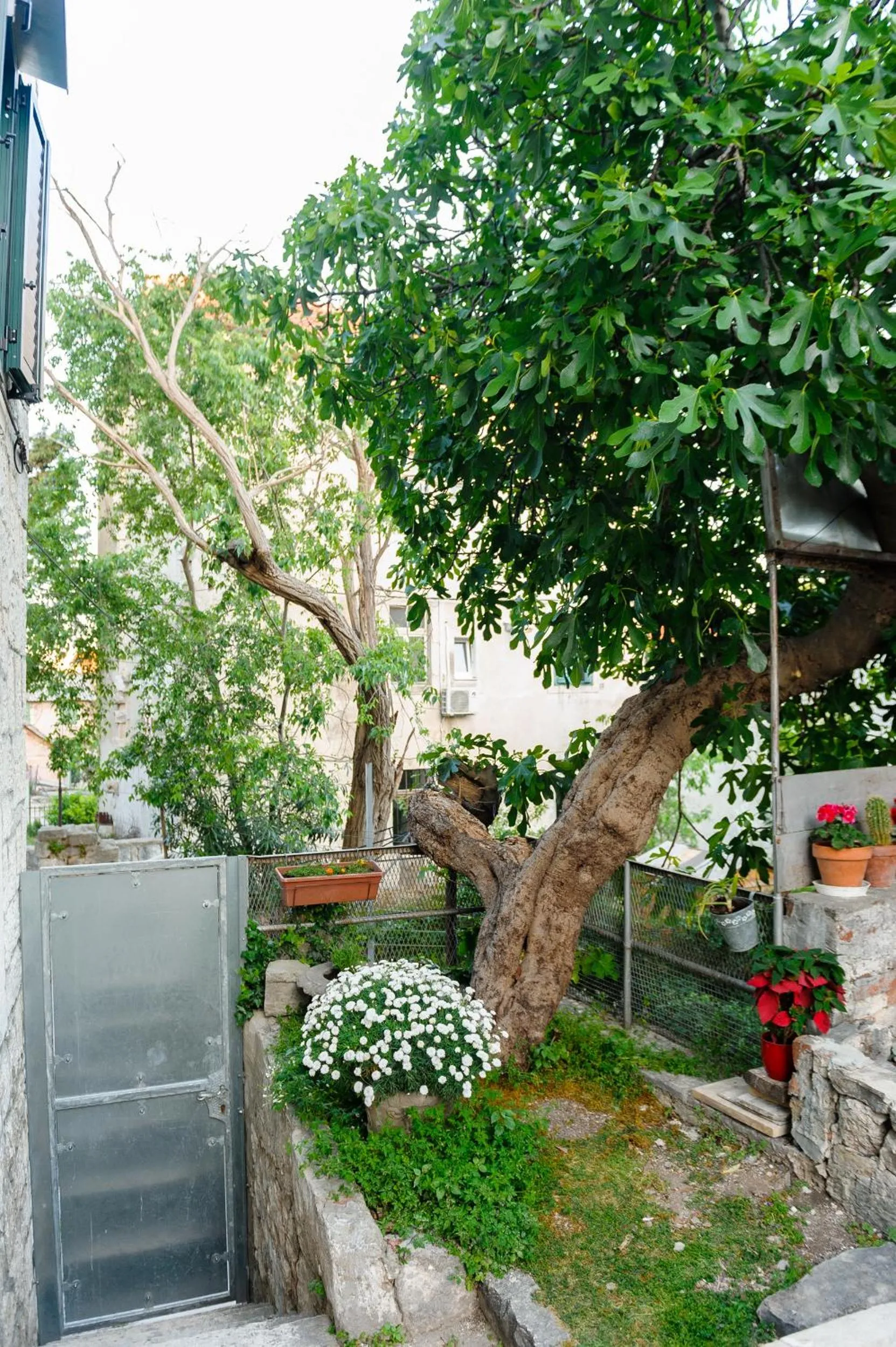 Property building in Apartment and Room Nona Stella