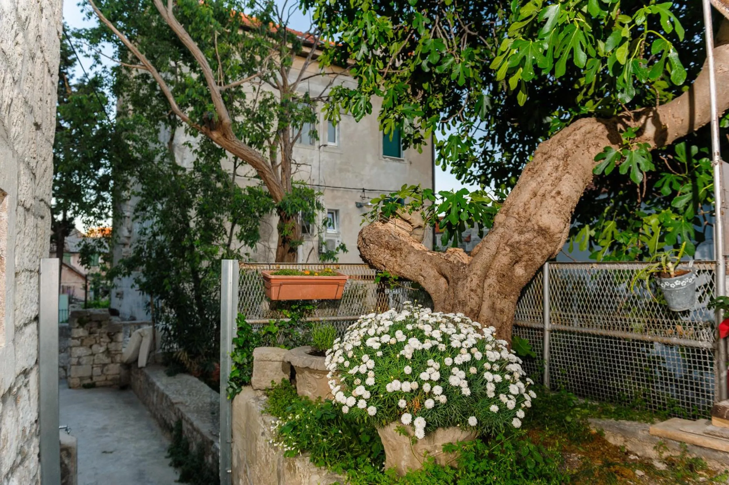 Property building in Apartment and Room Nona Stella