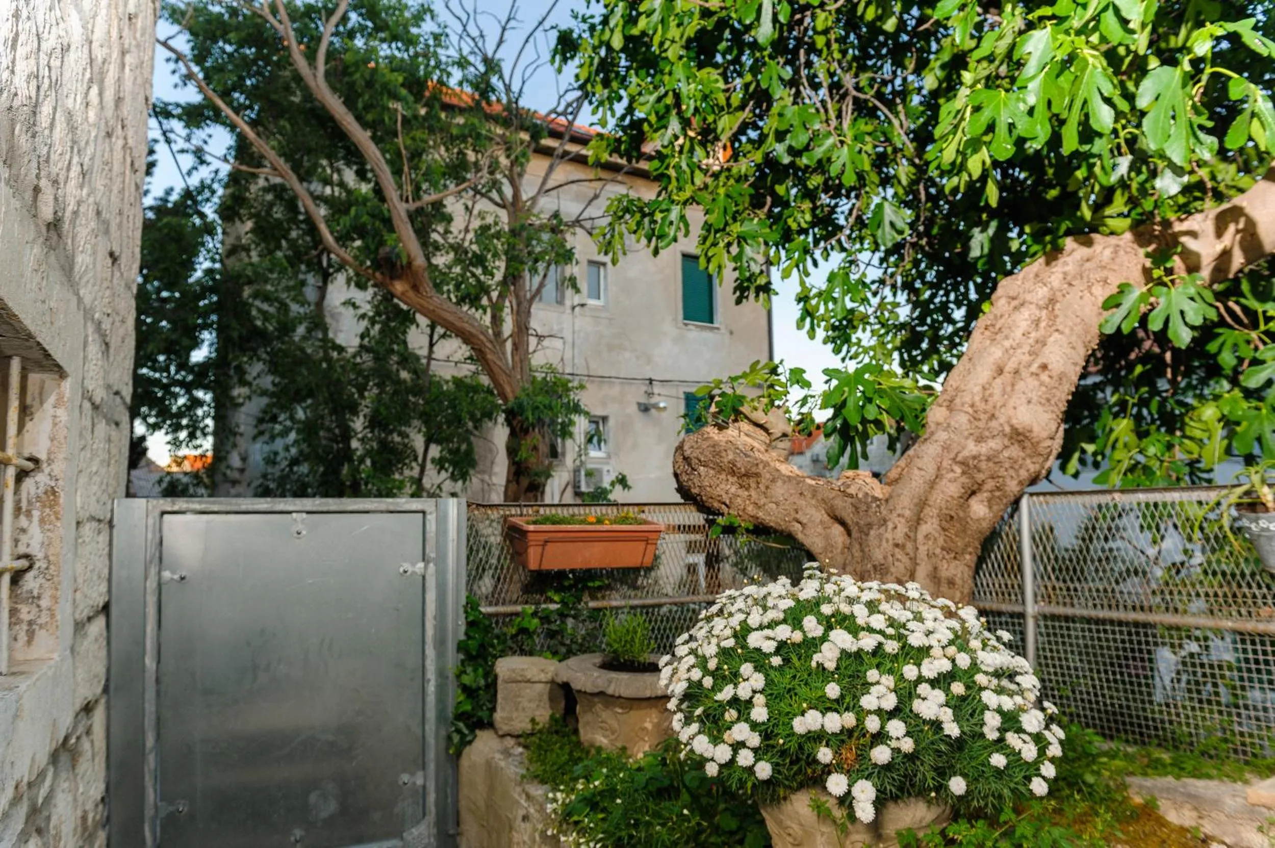 Property building in Apartment and Room Nona Stella