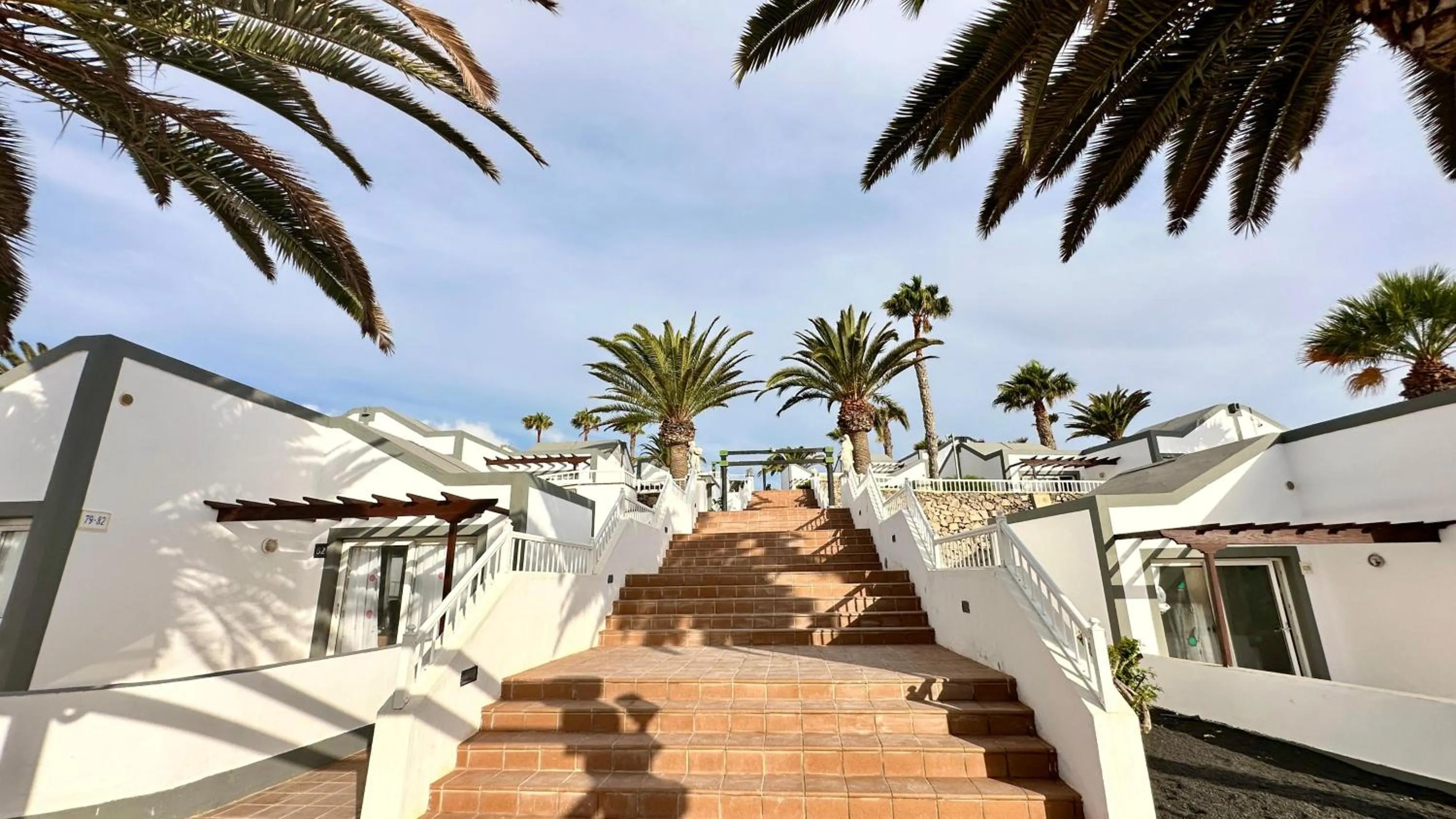 Garden in Caleta Dorada