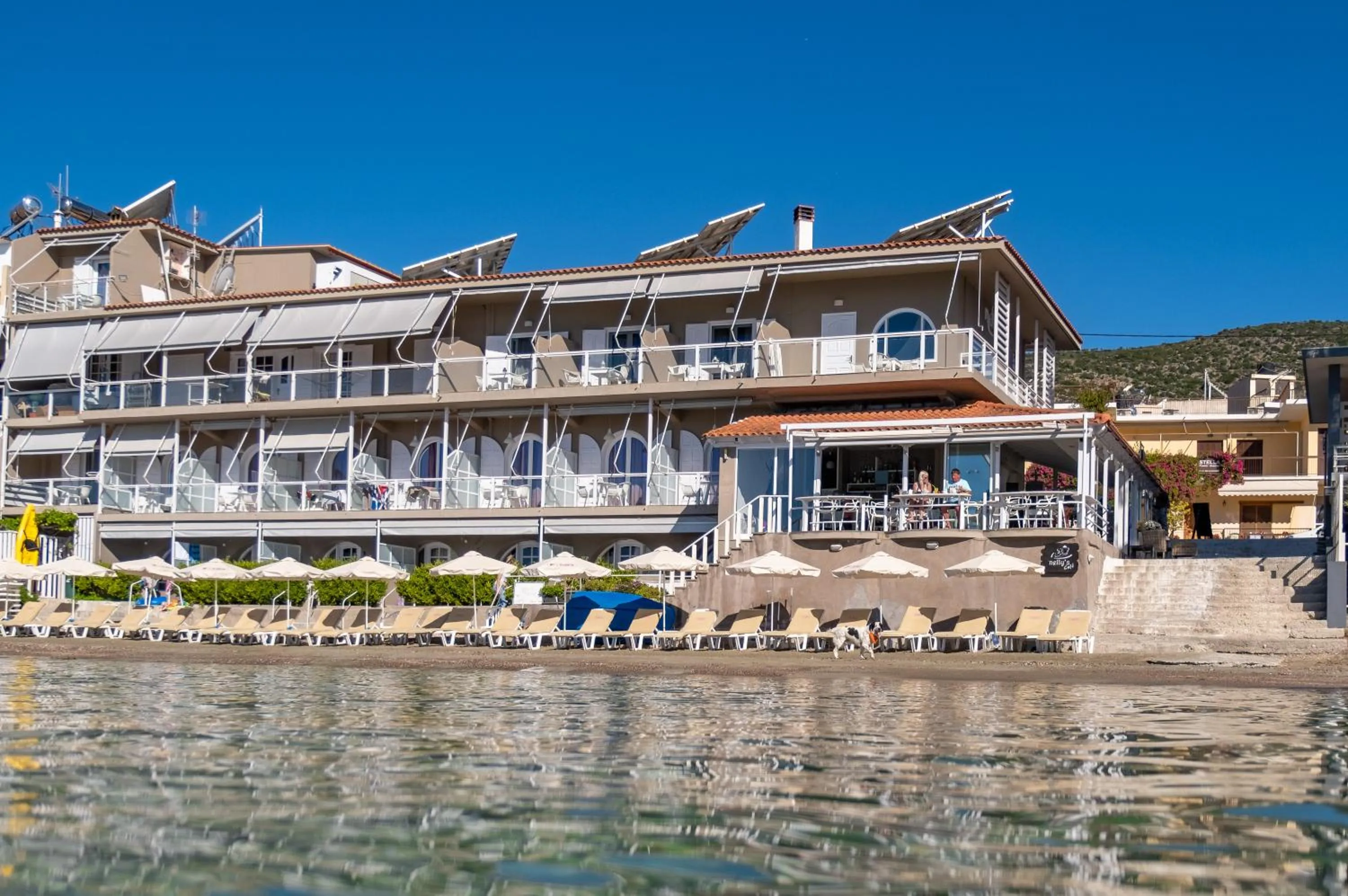 Property building in Nelly's Apartments