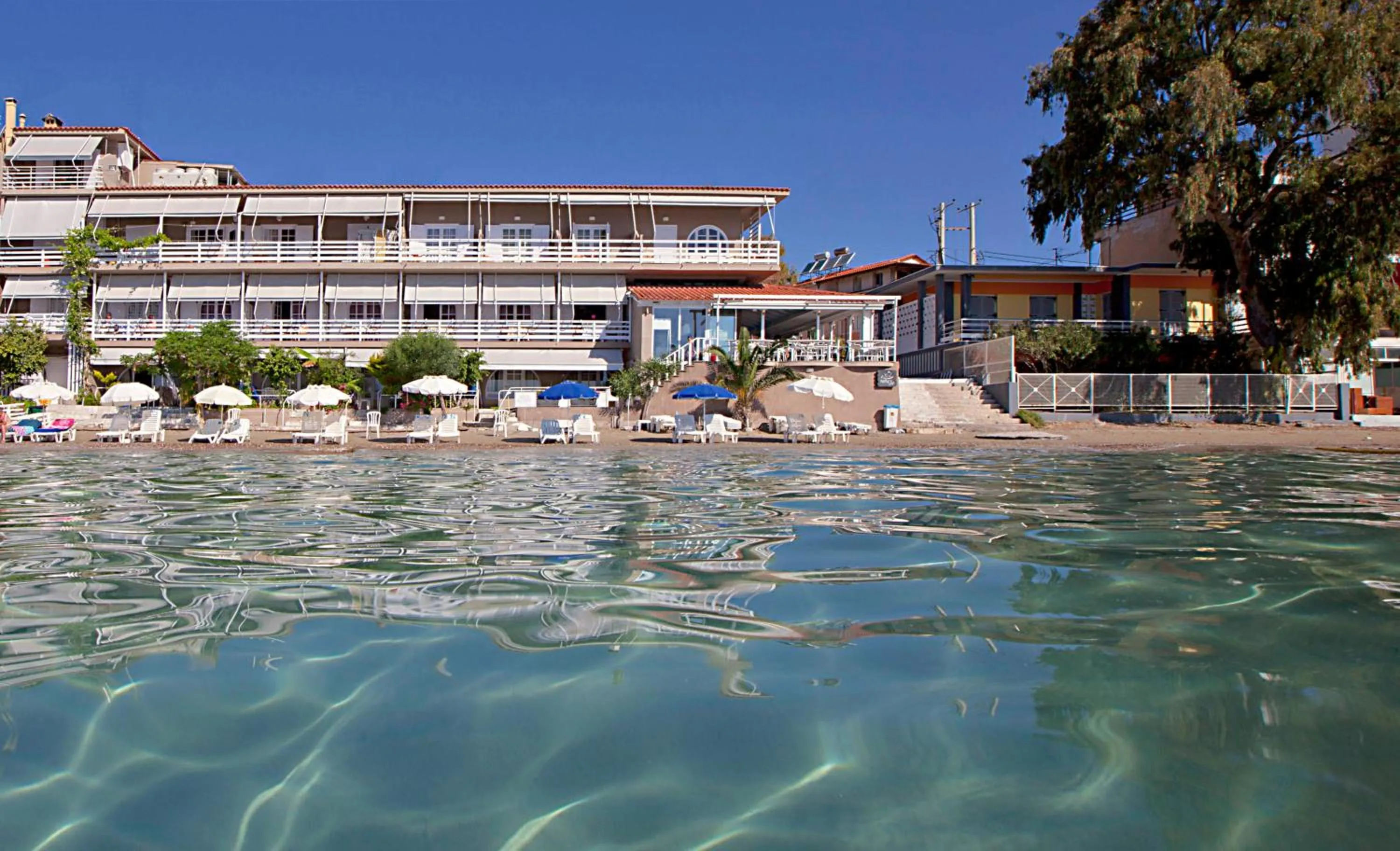 Area and facilities in Nelly's Apartments