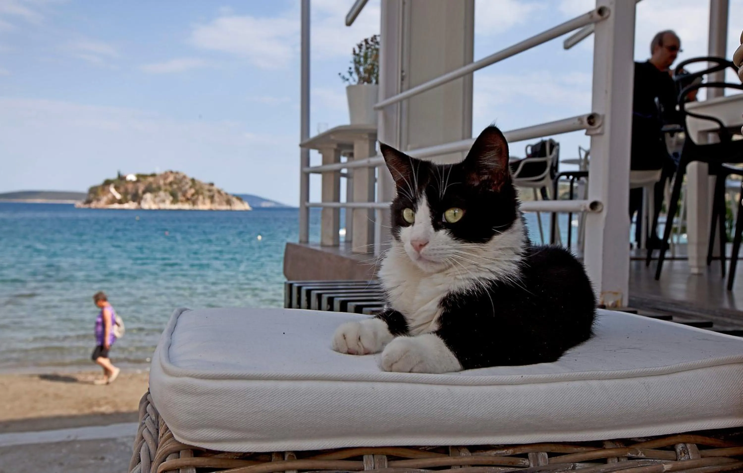 Day in Nelly's Apartments