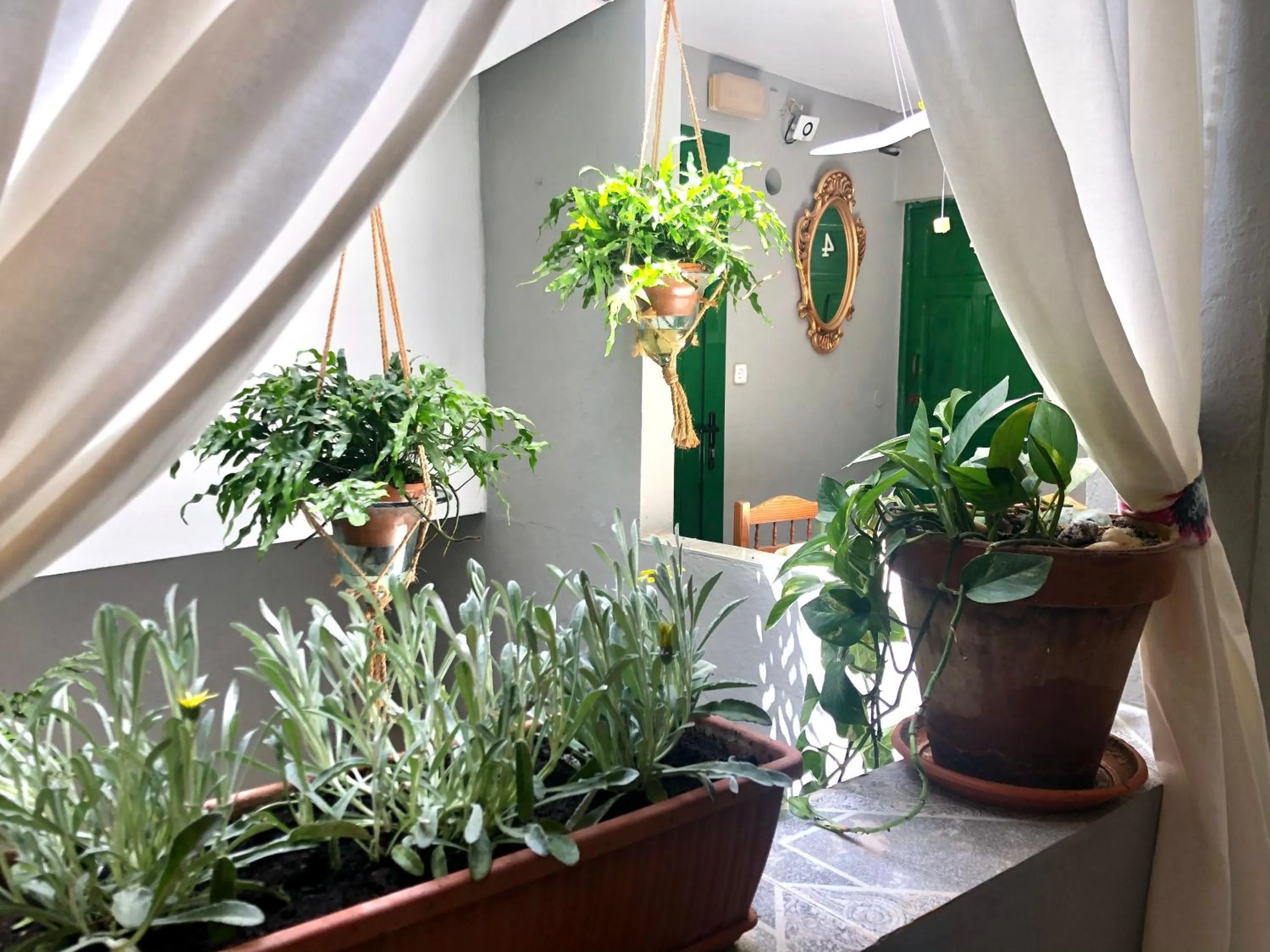 Patio in Pensión Playa