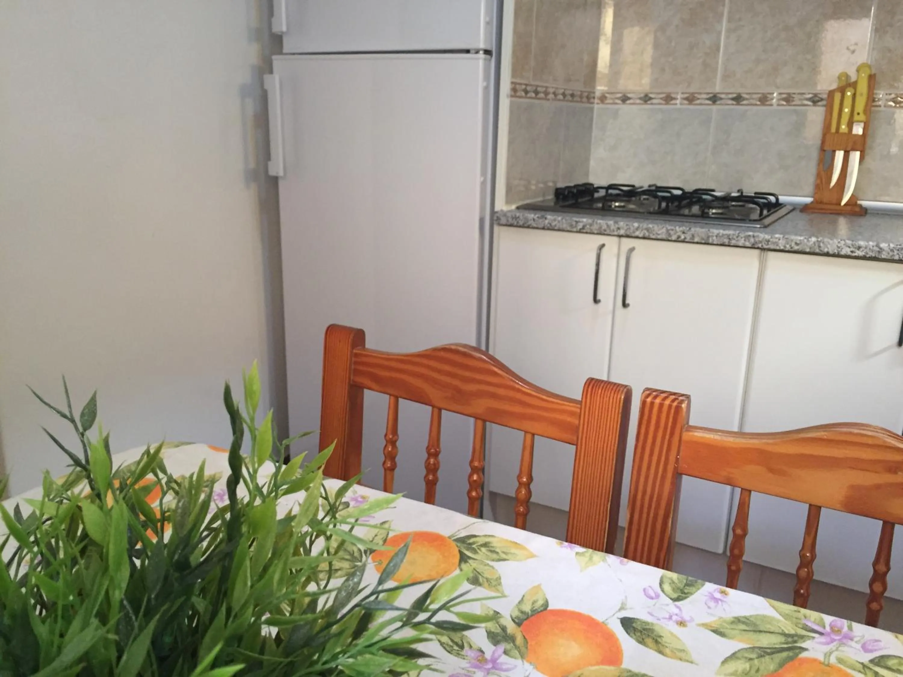 Kitchen or kitchenette in Pensión Playa