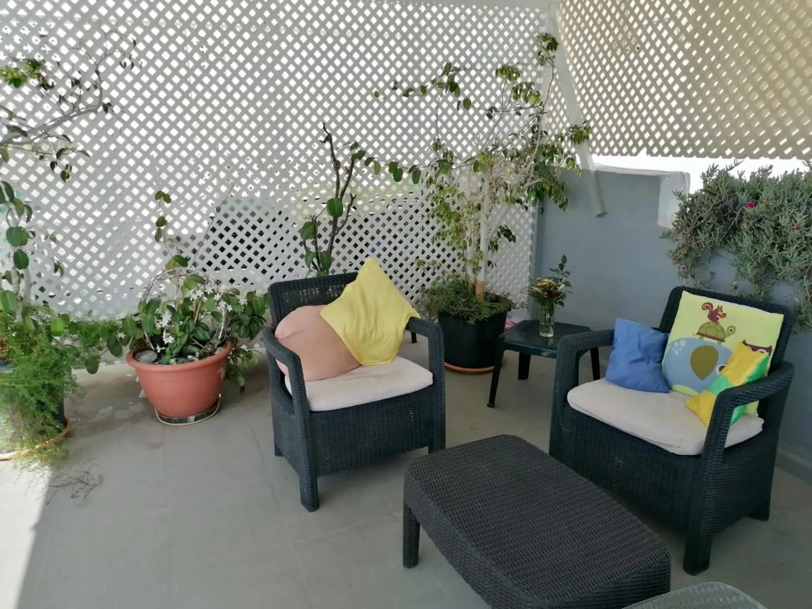 Balcony/Terrace in Pensión Playa