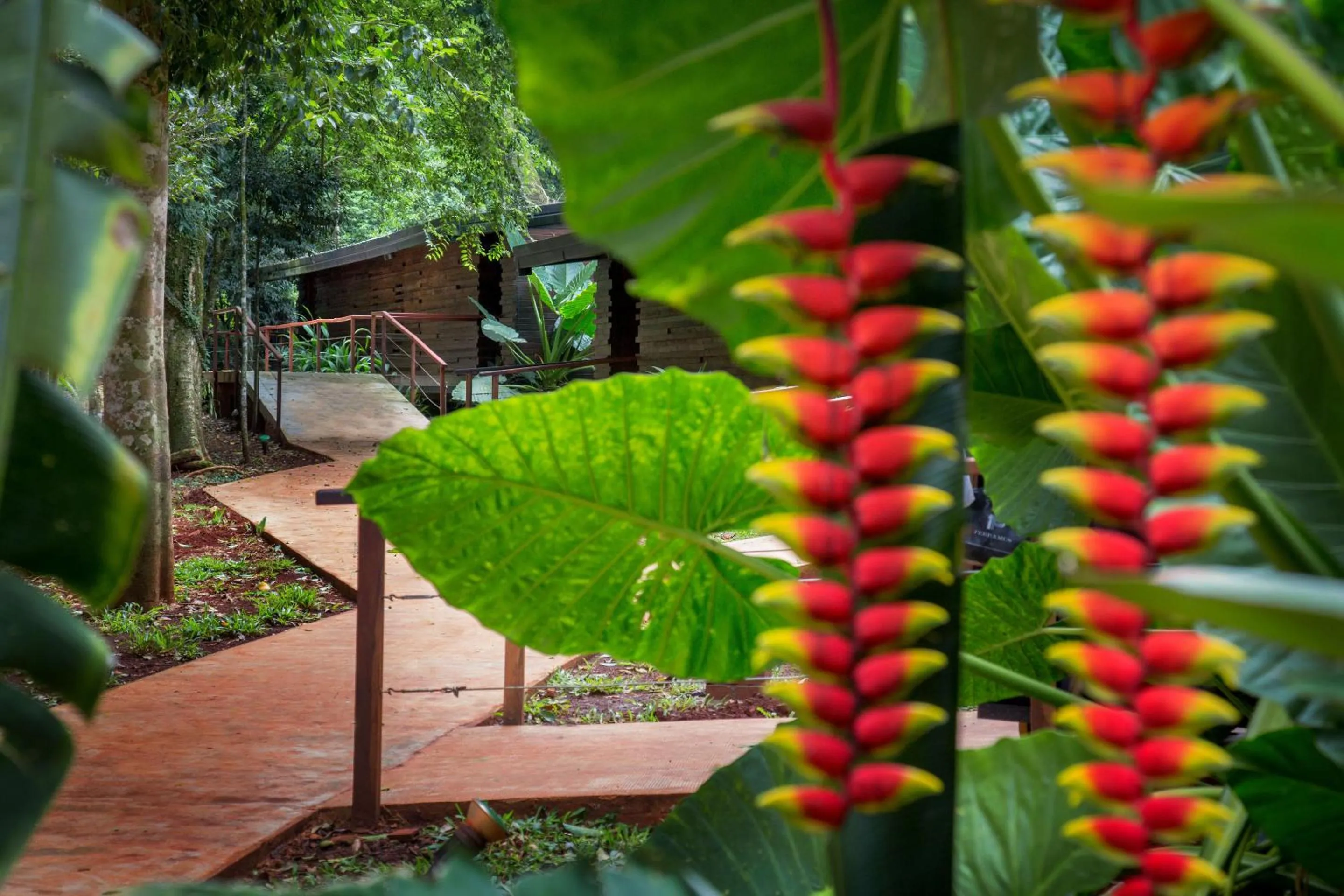 Facade/entrance in La Reserva Virgin Lodge