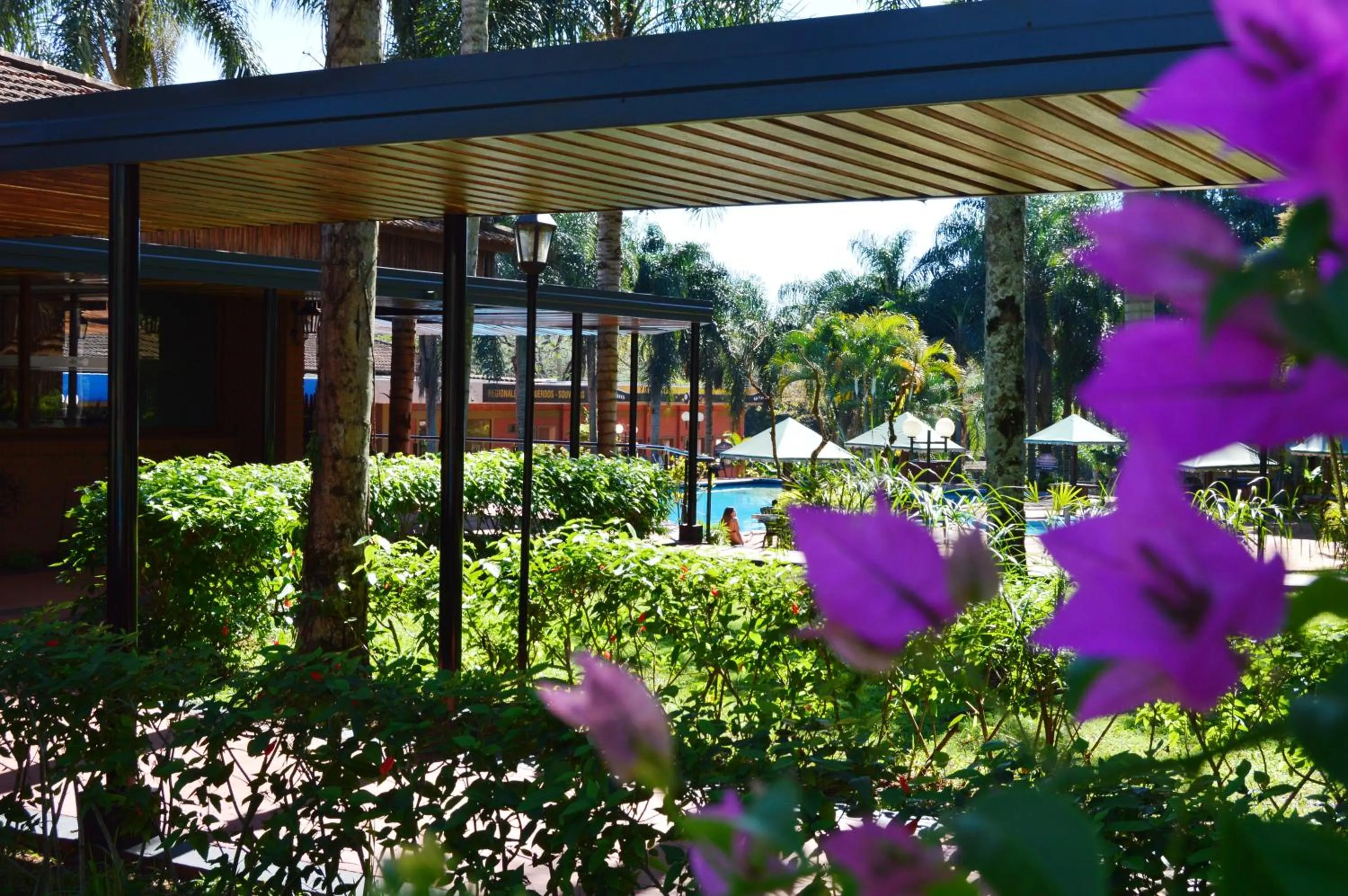 Spring in Complejo Americano