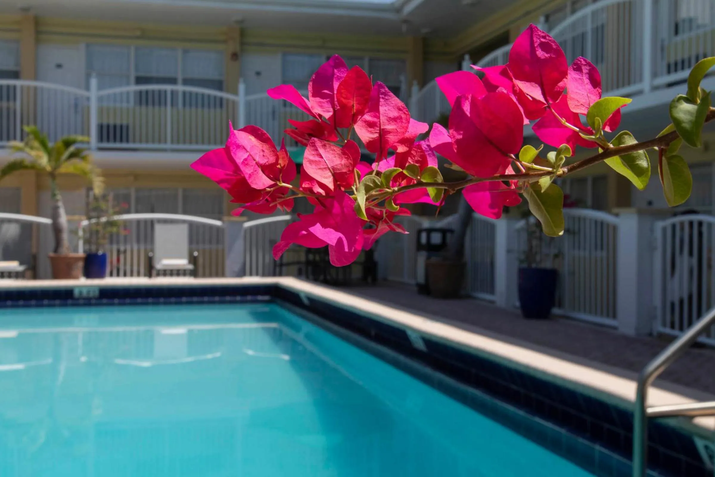 Swimming pool in Beach Place Hotel