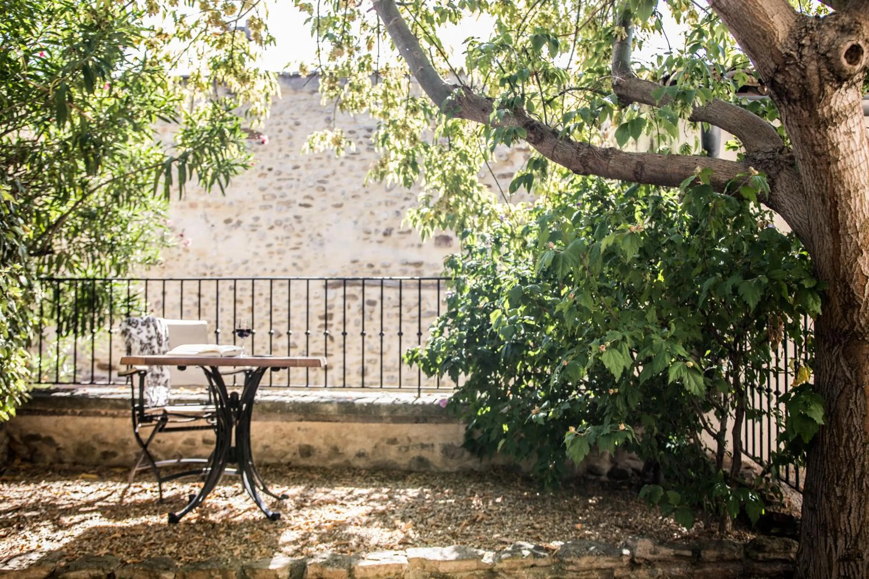 Patio in Hotel Du Midi