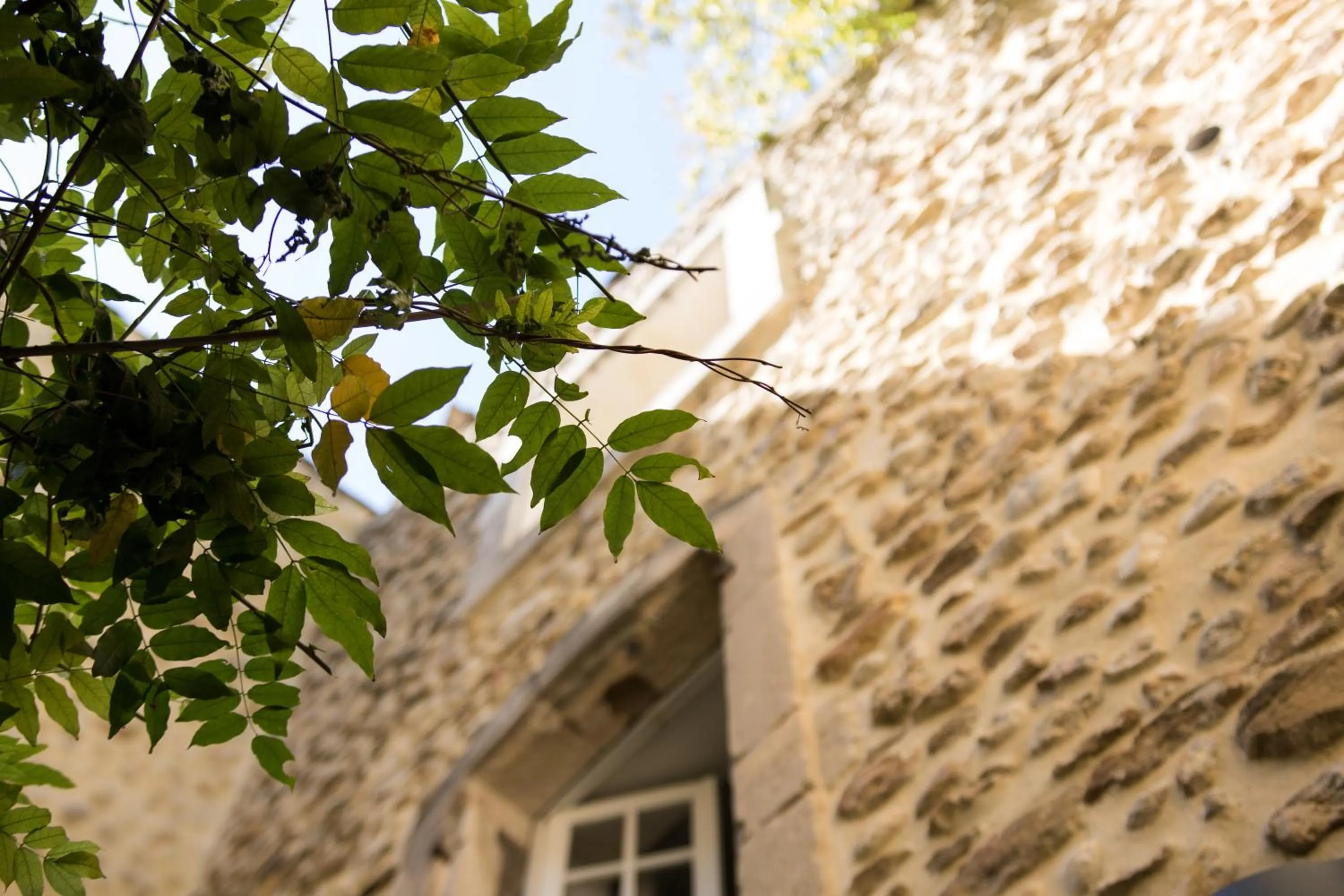 Patio in Hotel Du Midi