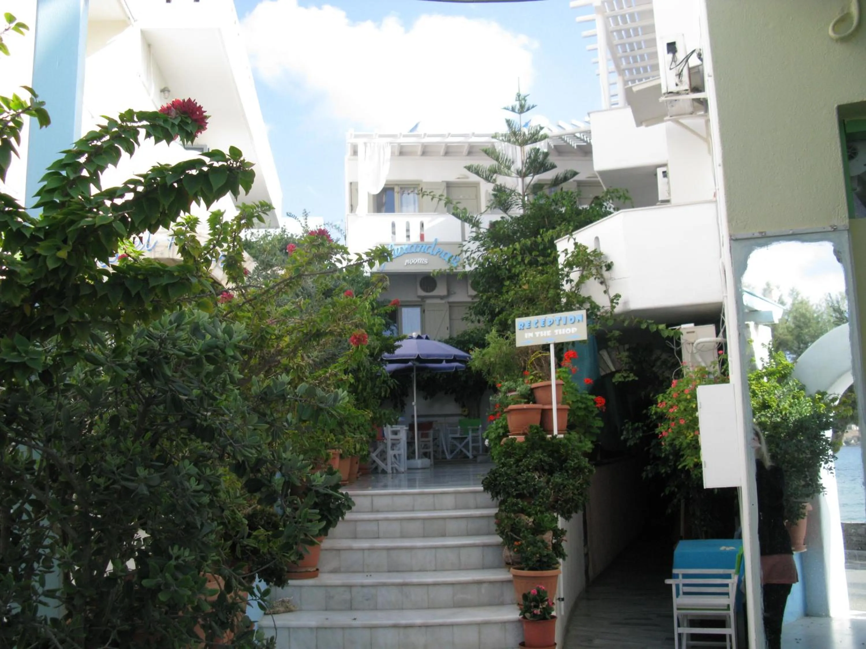 Area and facilities in Alexandra's Rooms