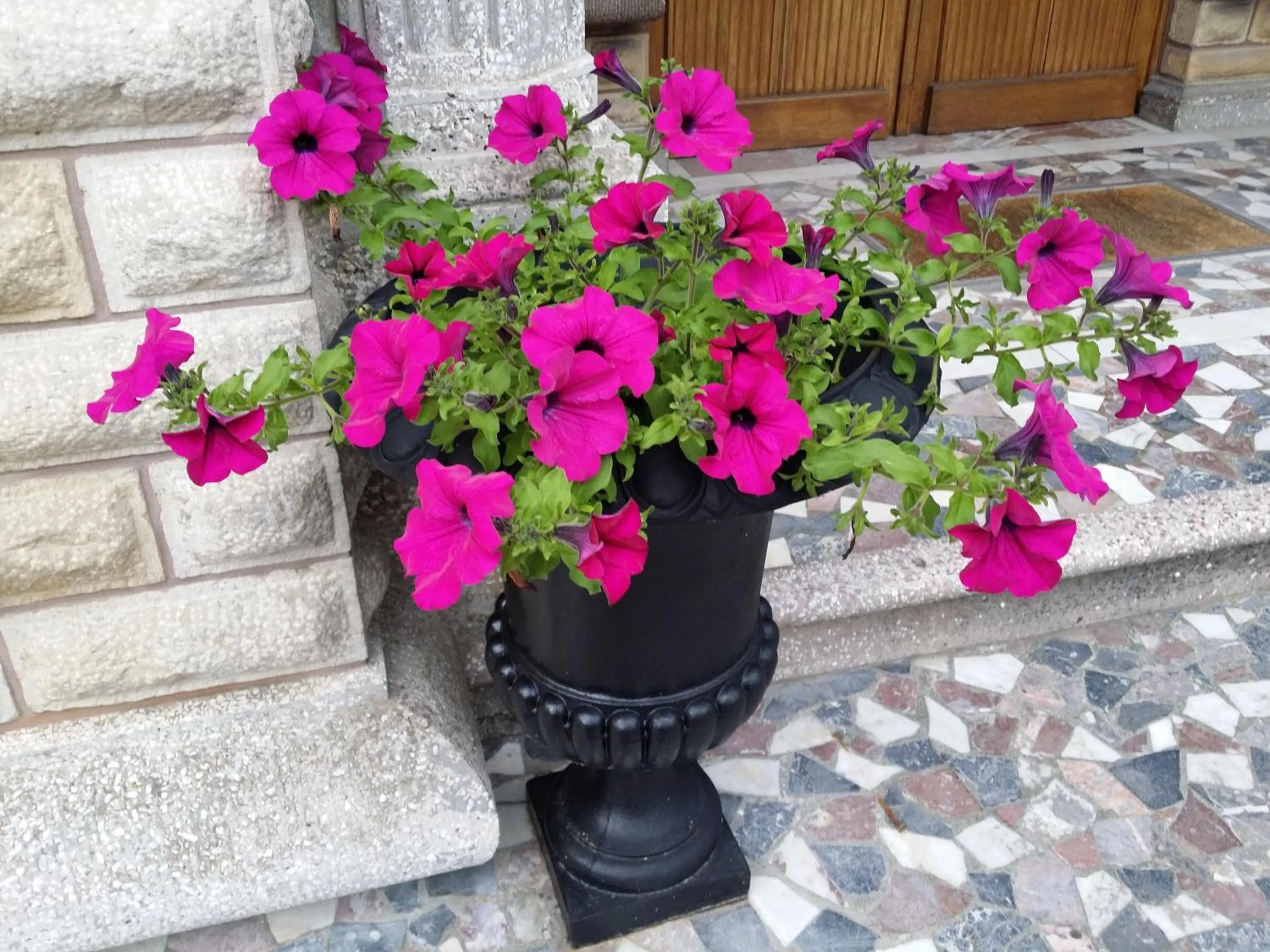 Garden in Le Castel Guesthouse